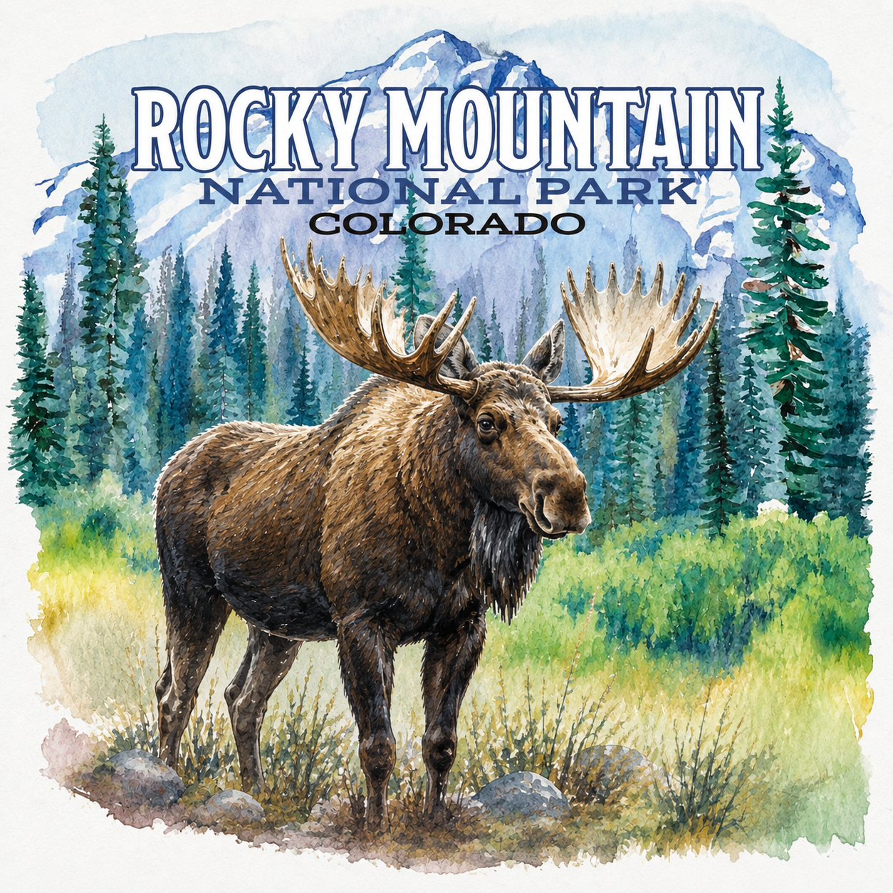 moose watercolor rmnp.png