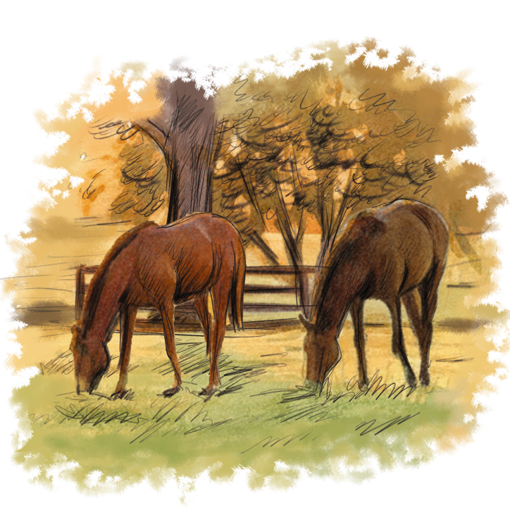 horse and fence.png