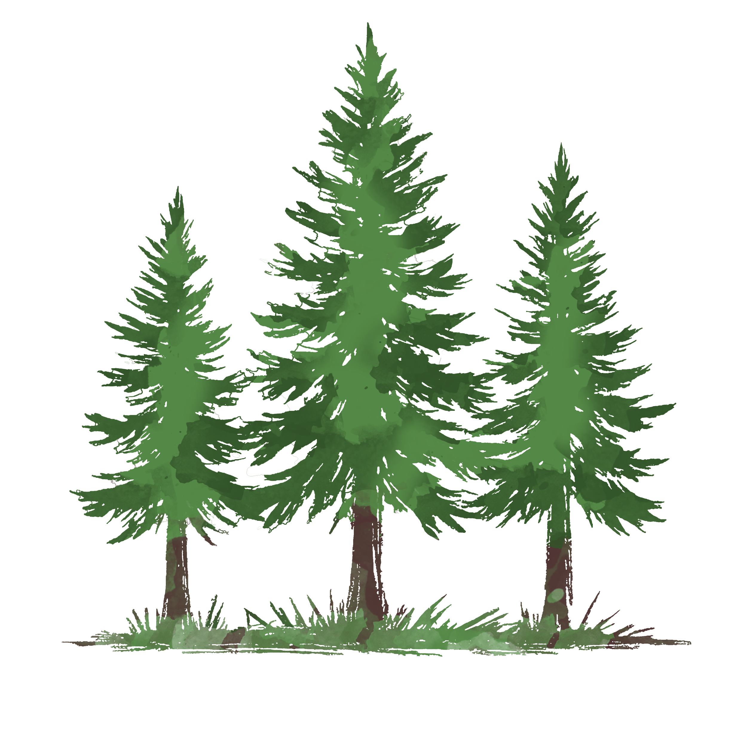 3 pine trees op3.png