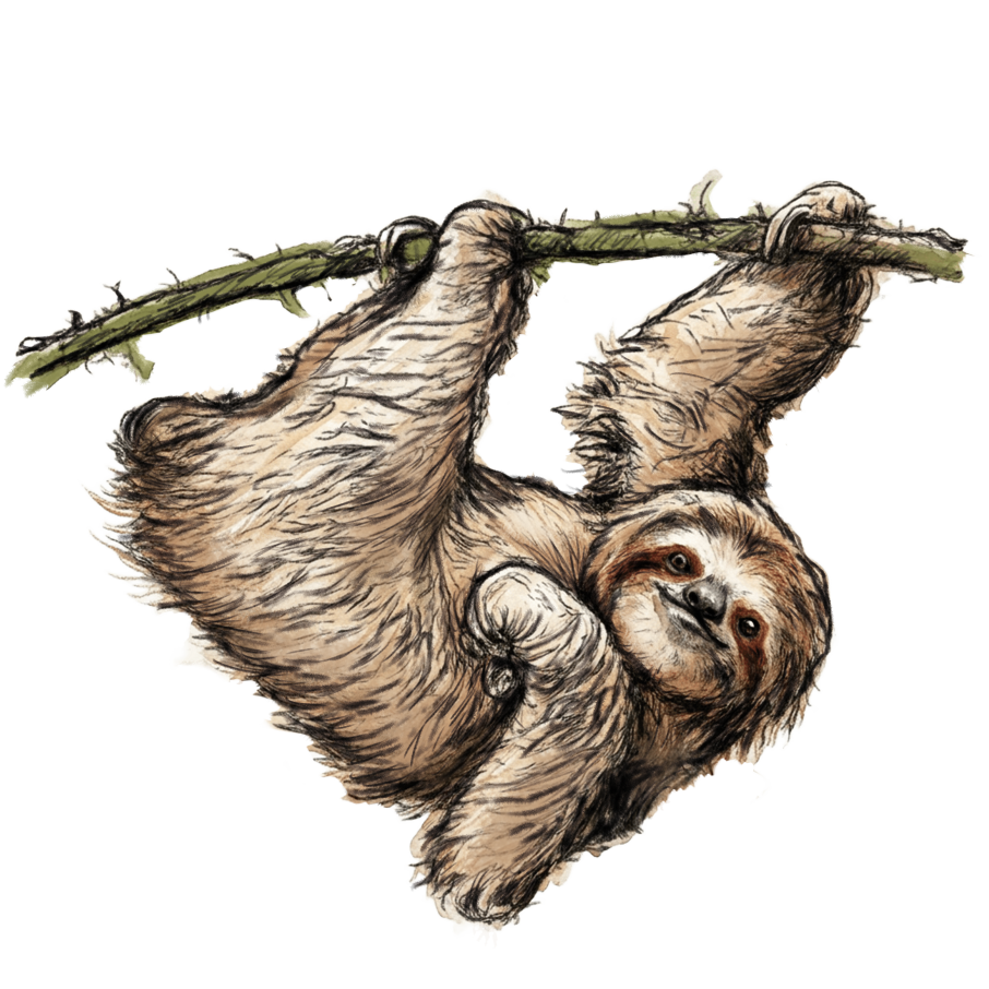 sloth png_imresizer.png