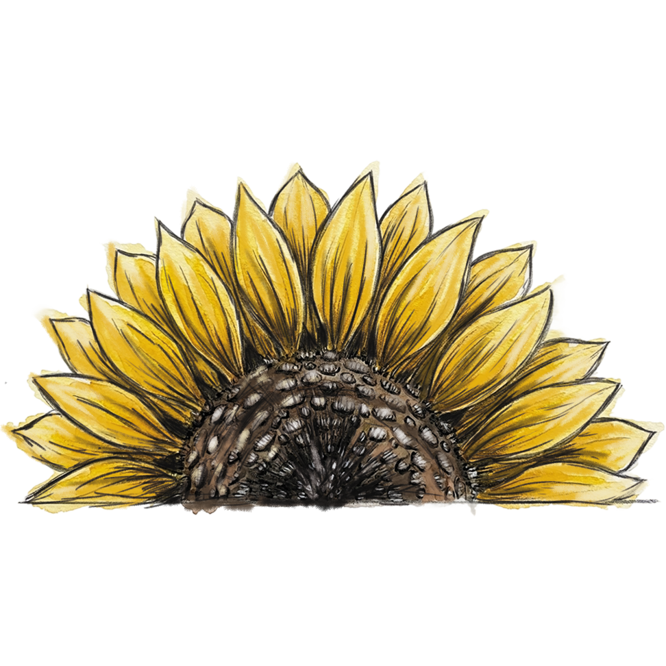 sun flower png_imresizer.png
