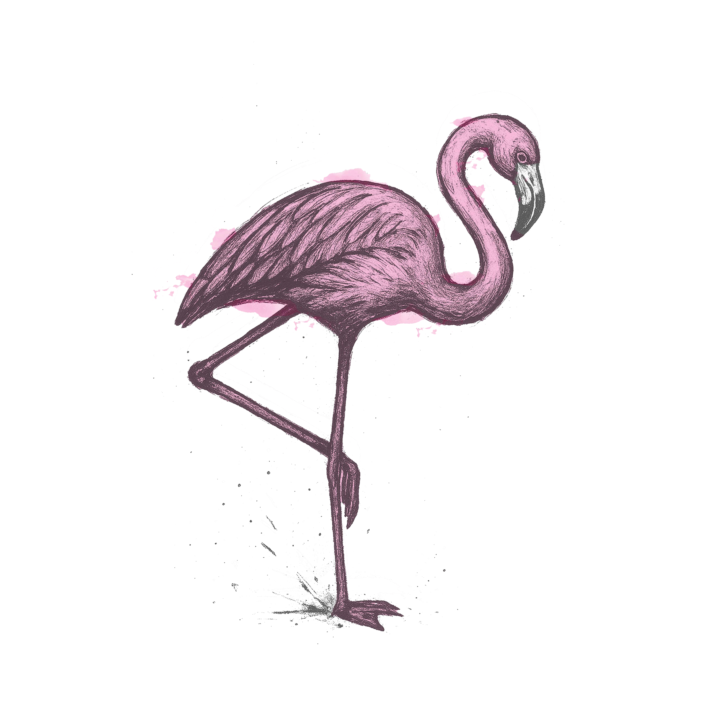 flamingo.png