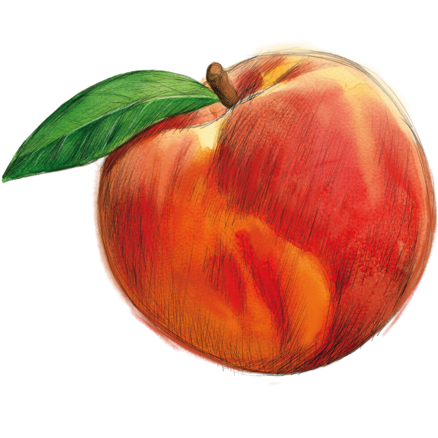 peach.png