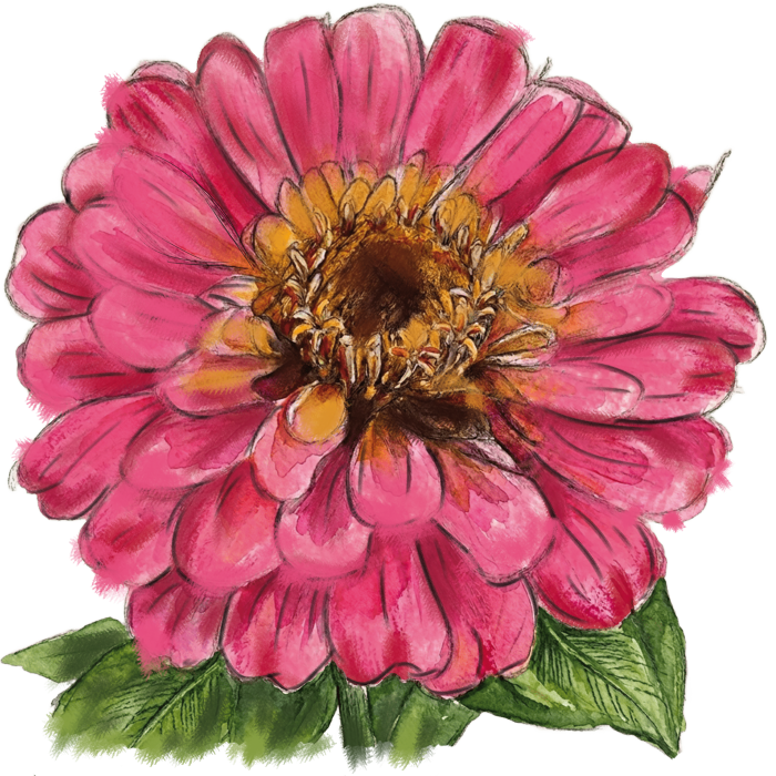 zinniah.png