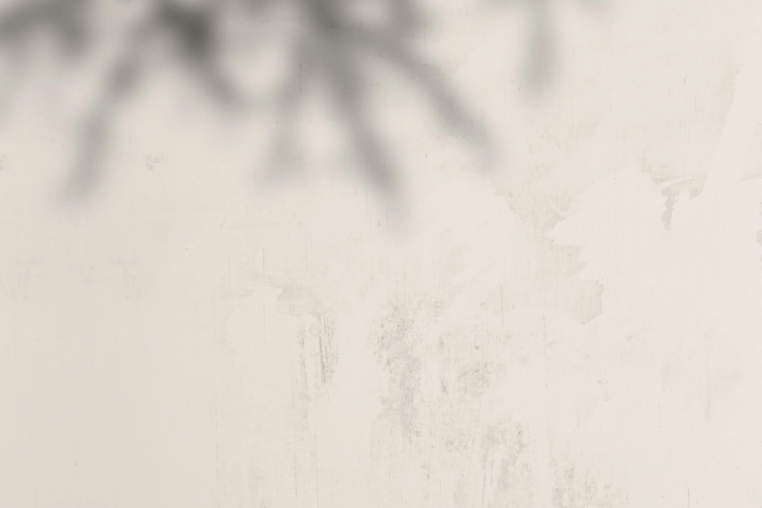 Blurred image of a wall with some shadows and faint textures.