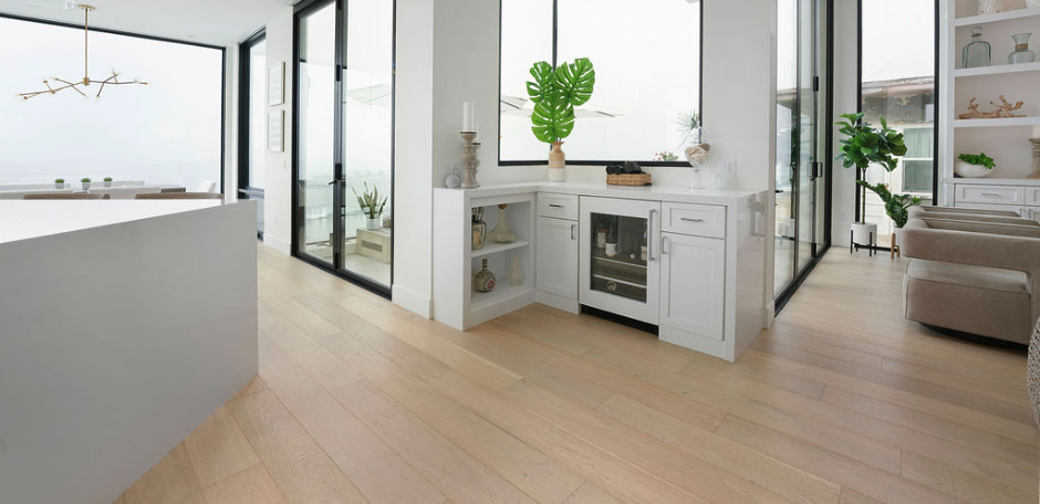 Modern bright living space with white cabinetry, glass walls, and houseplants.