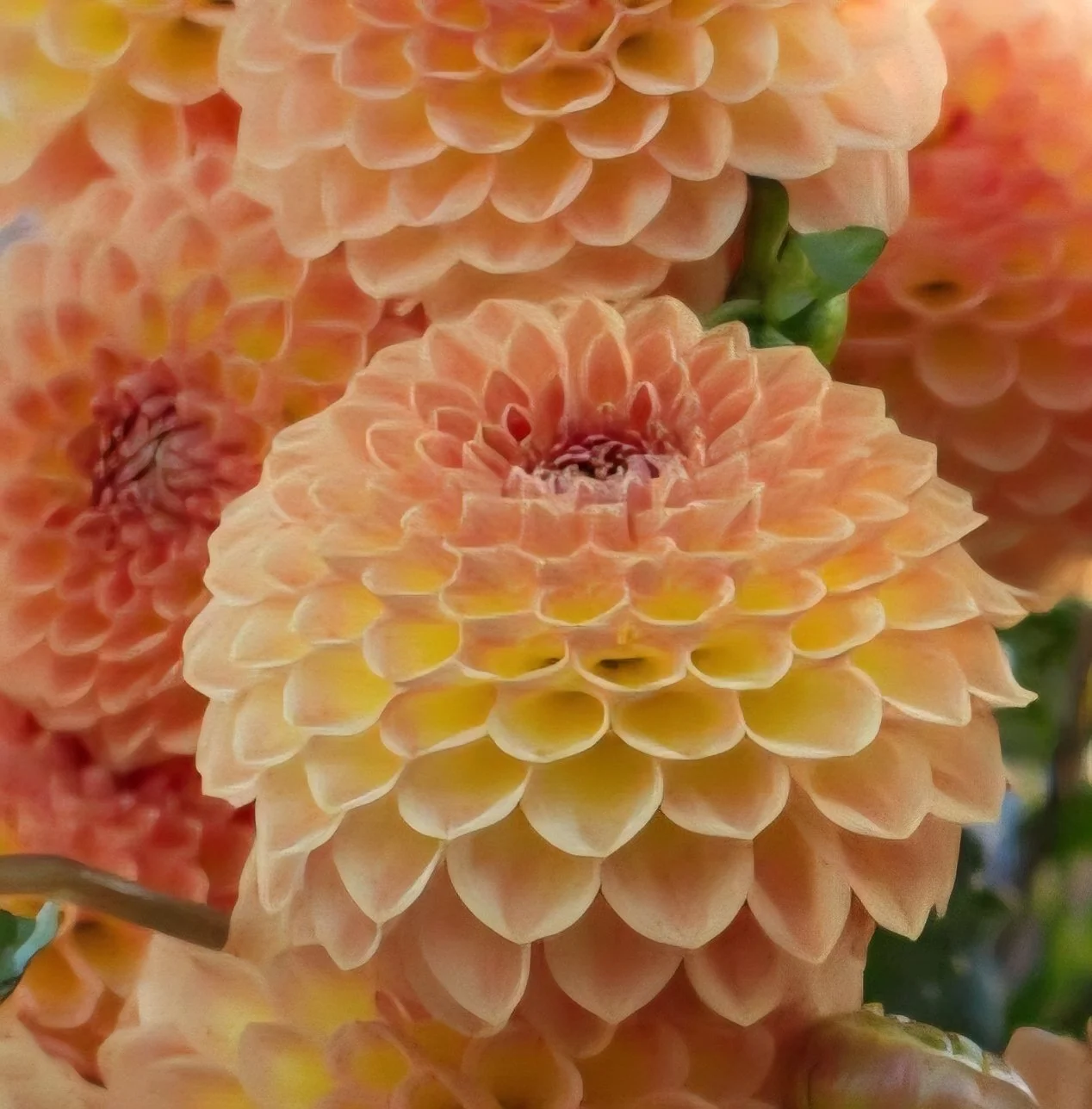 Blyton Softer Gleam