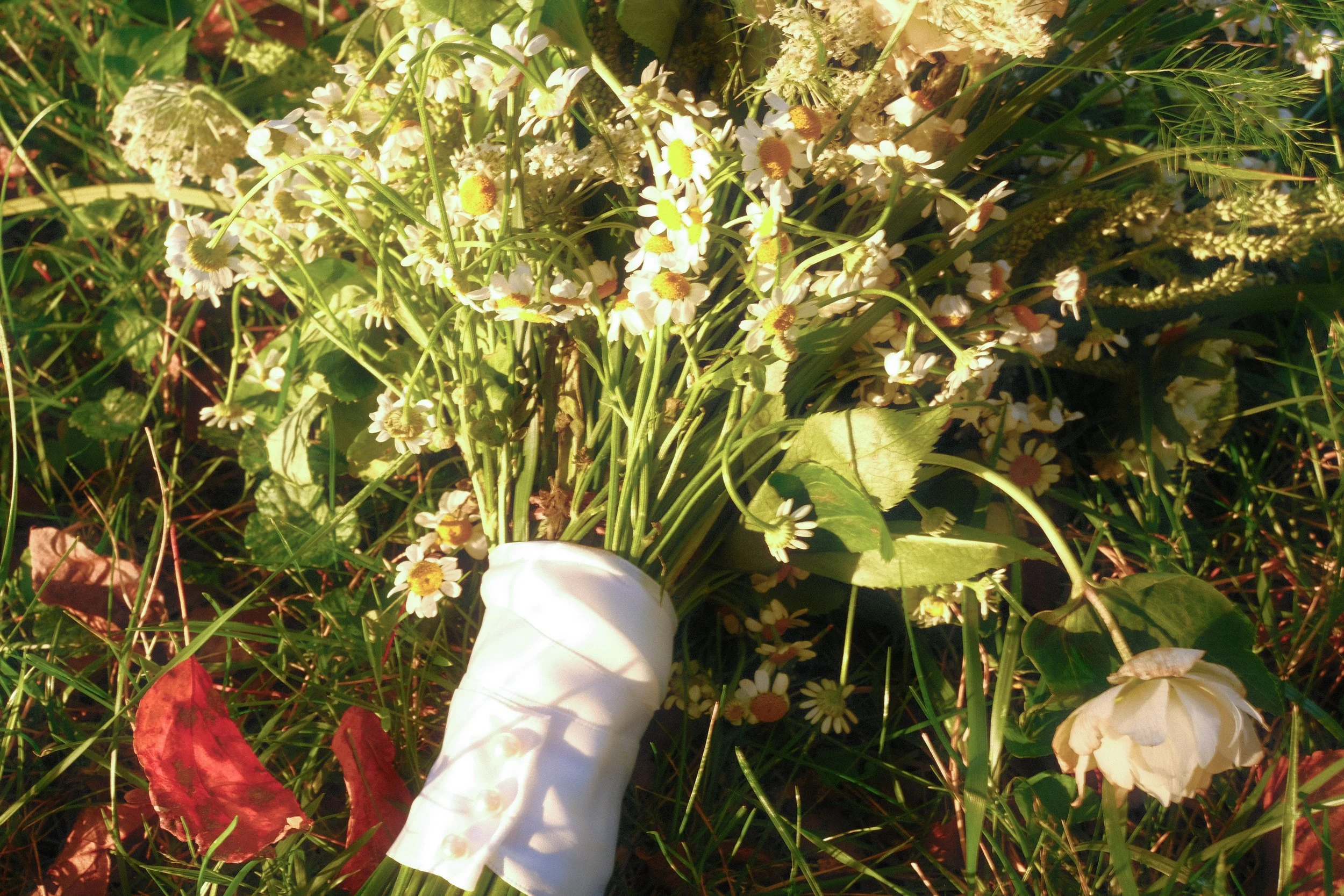 DSCF9235.jpg