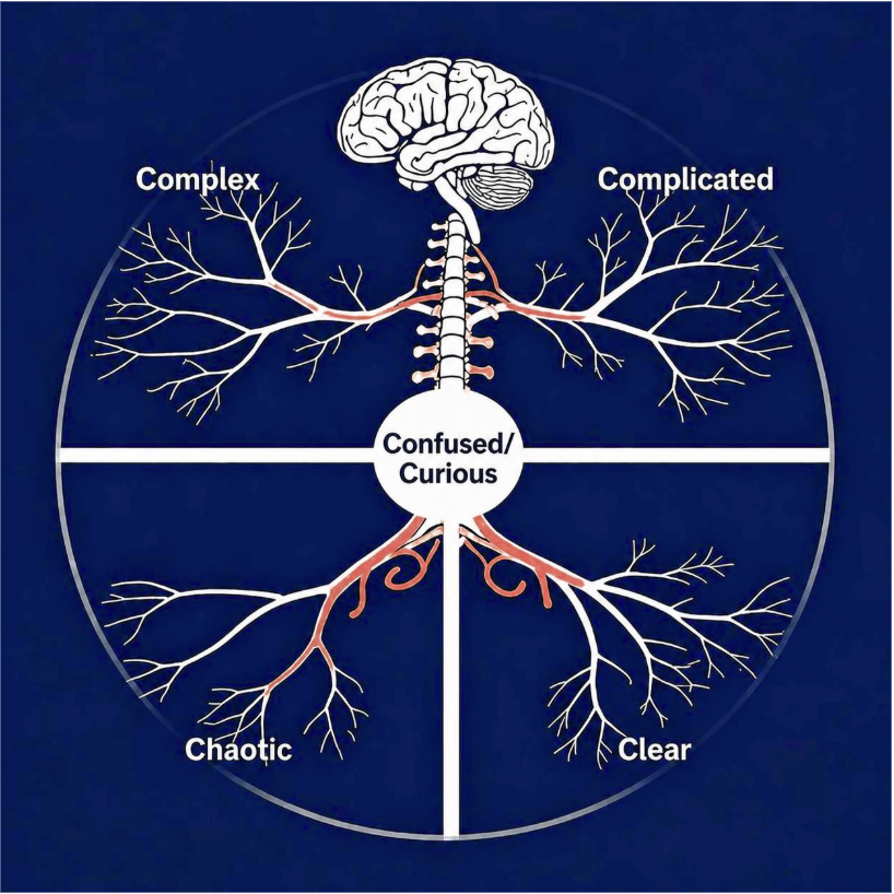 You are cyneough. But leadership is complex.