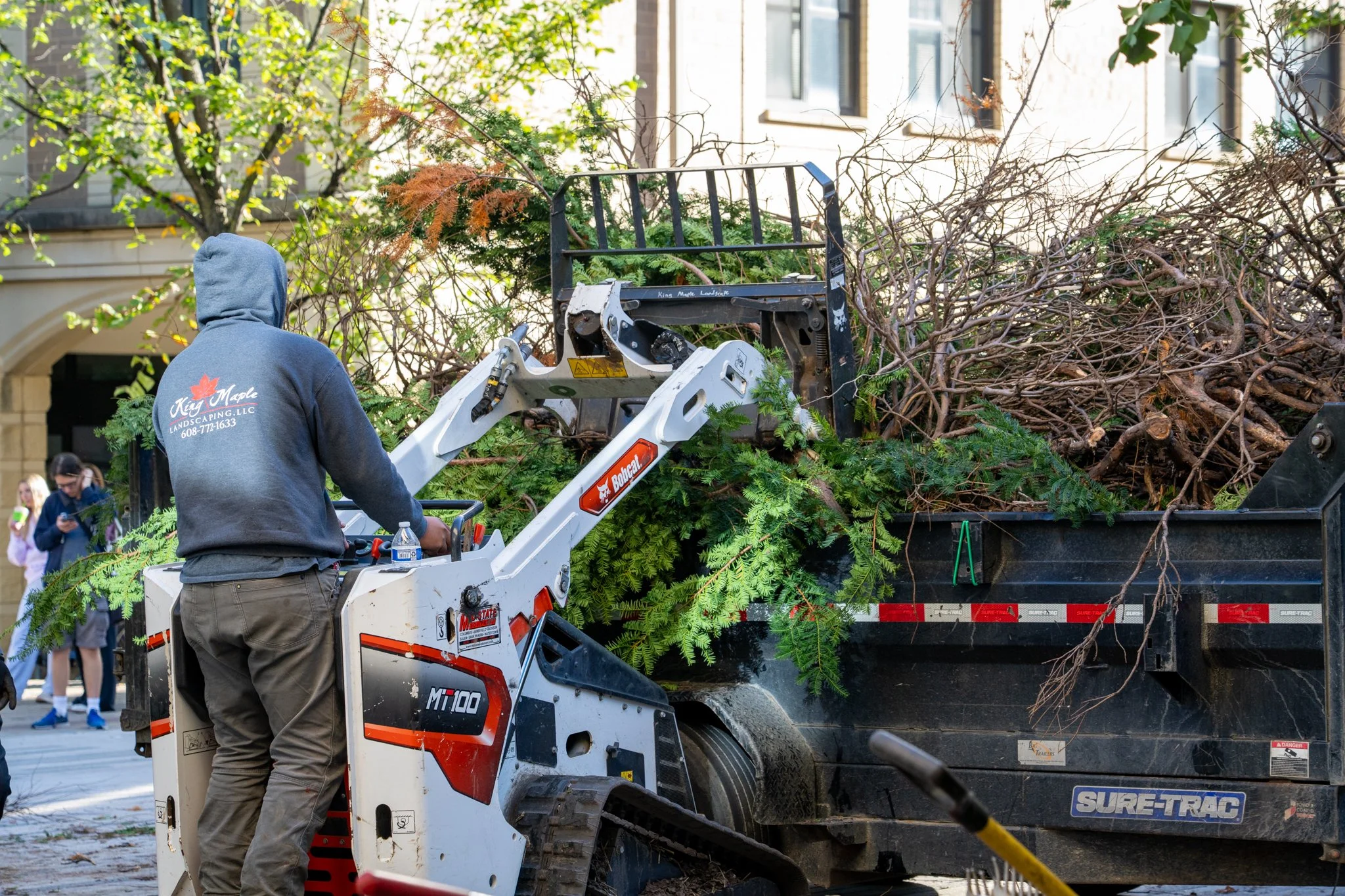 A King Maple employee in a hoodie operating a Bobcat compact loader, clearing large tree branches into a dump truck on a city street.