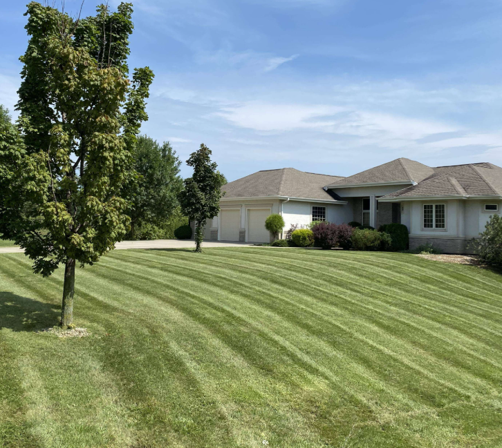 A well-maintained front yard with striped green lawn, two trees, and a large white house with a garage under a blue sky.