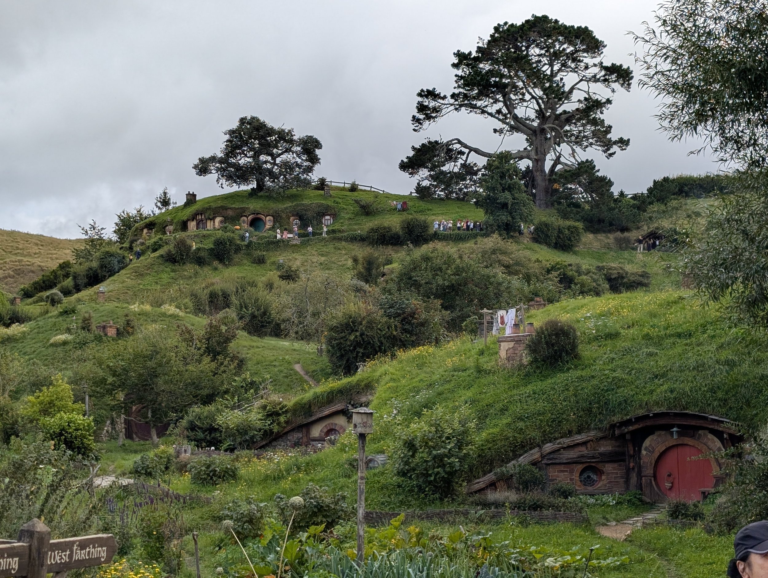 Hobbiton | New Zealand