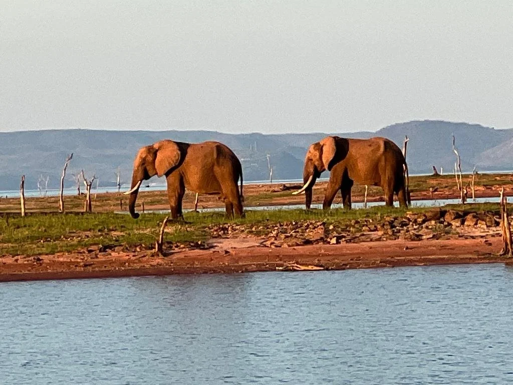 Lake Kariba | Zimbabwe