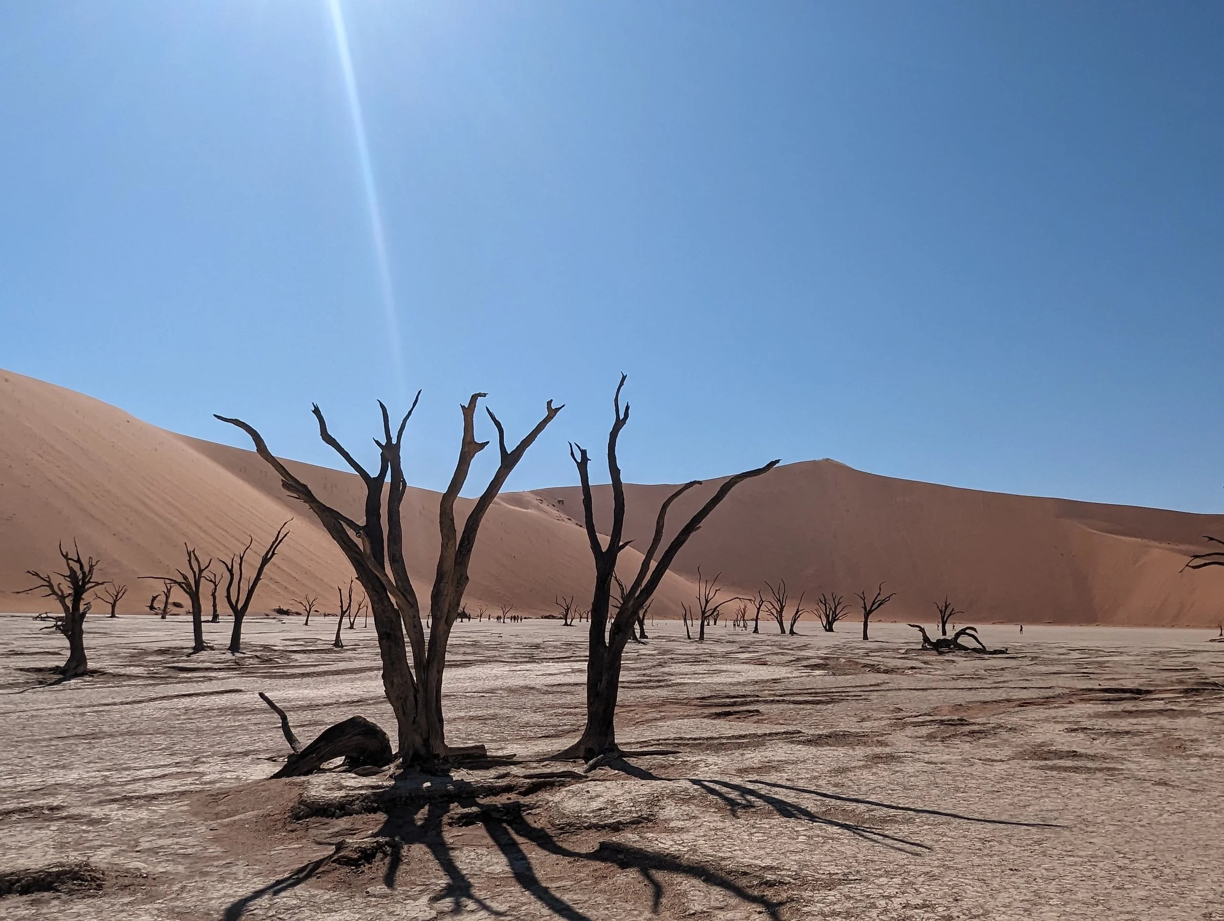 Sossusvlei | Namibia