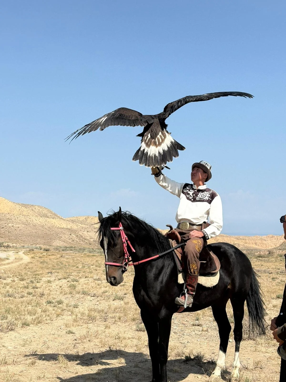 Eagle show | Kyrgyzstan