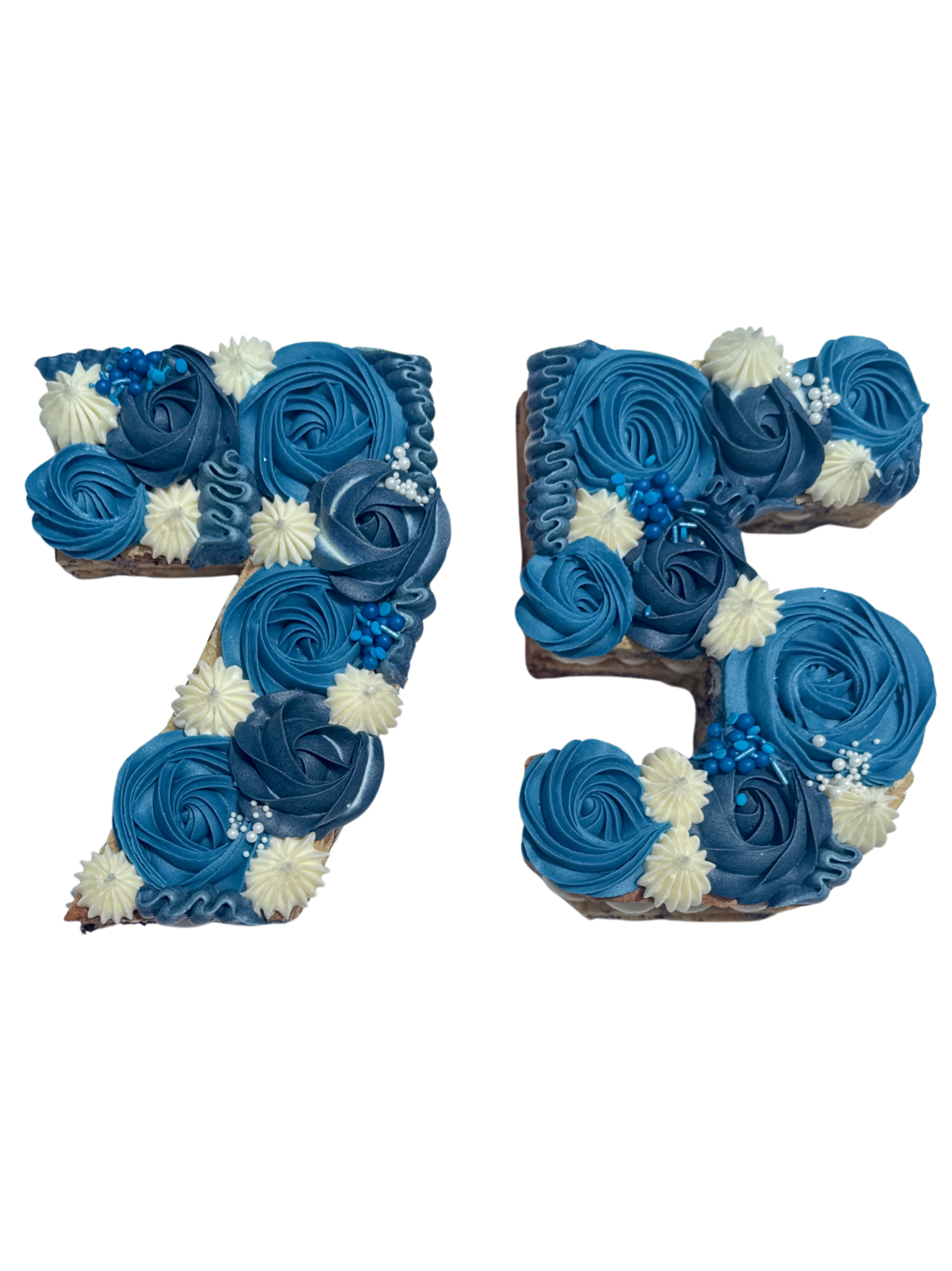 Untitled design (30).png