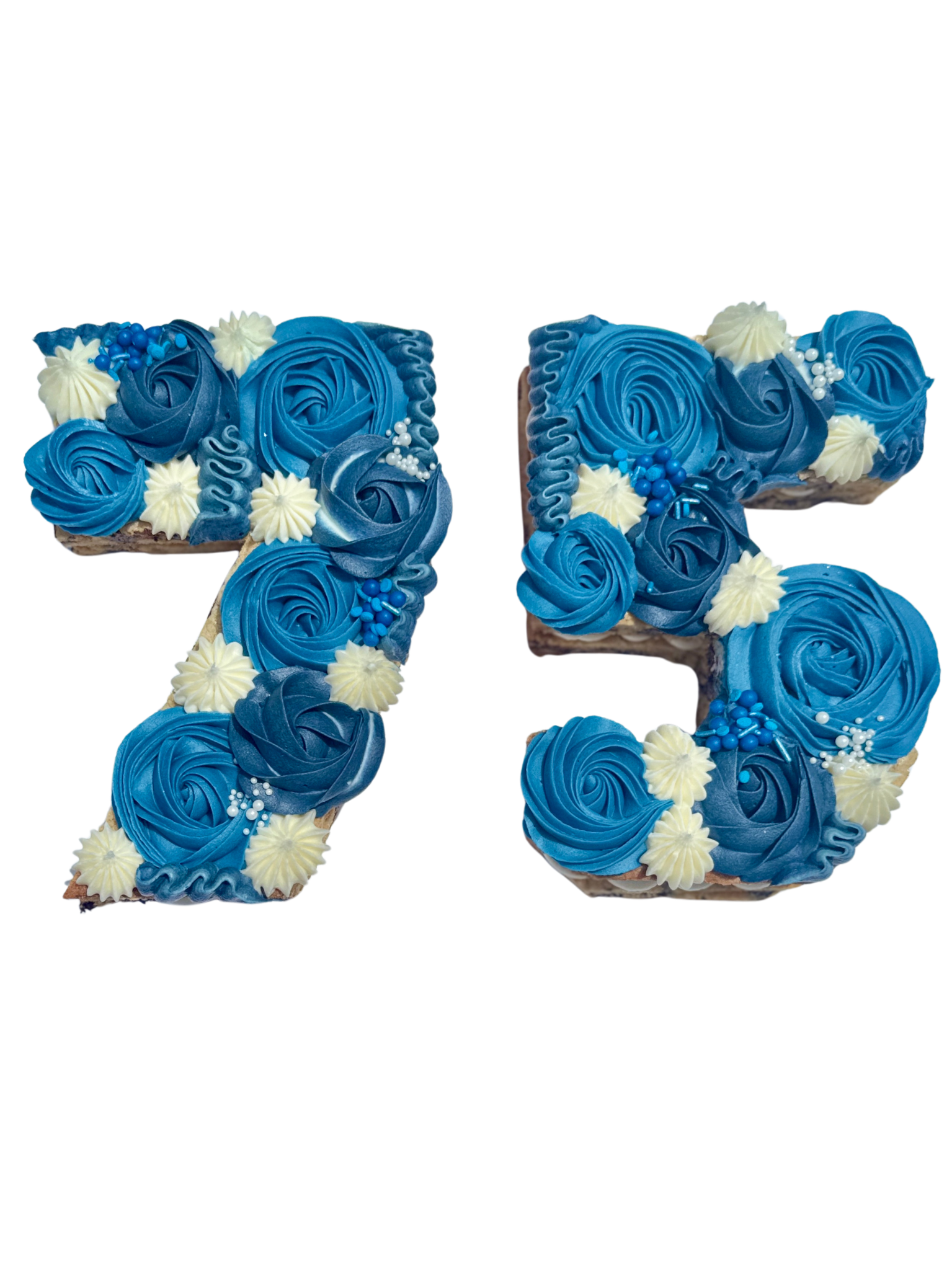 Untitled design (43).png