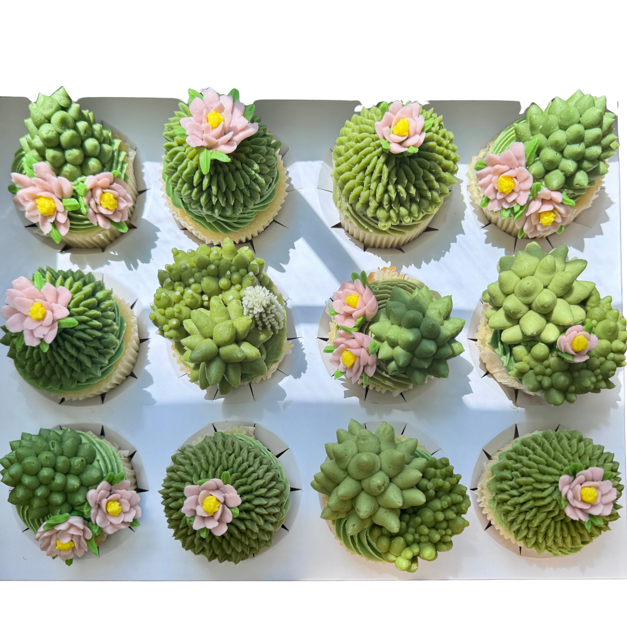 Untitled design (41).png