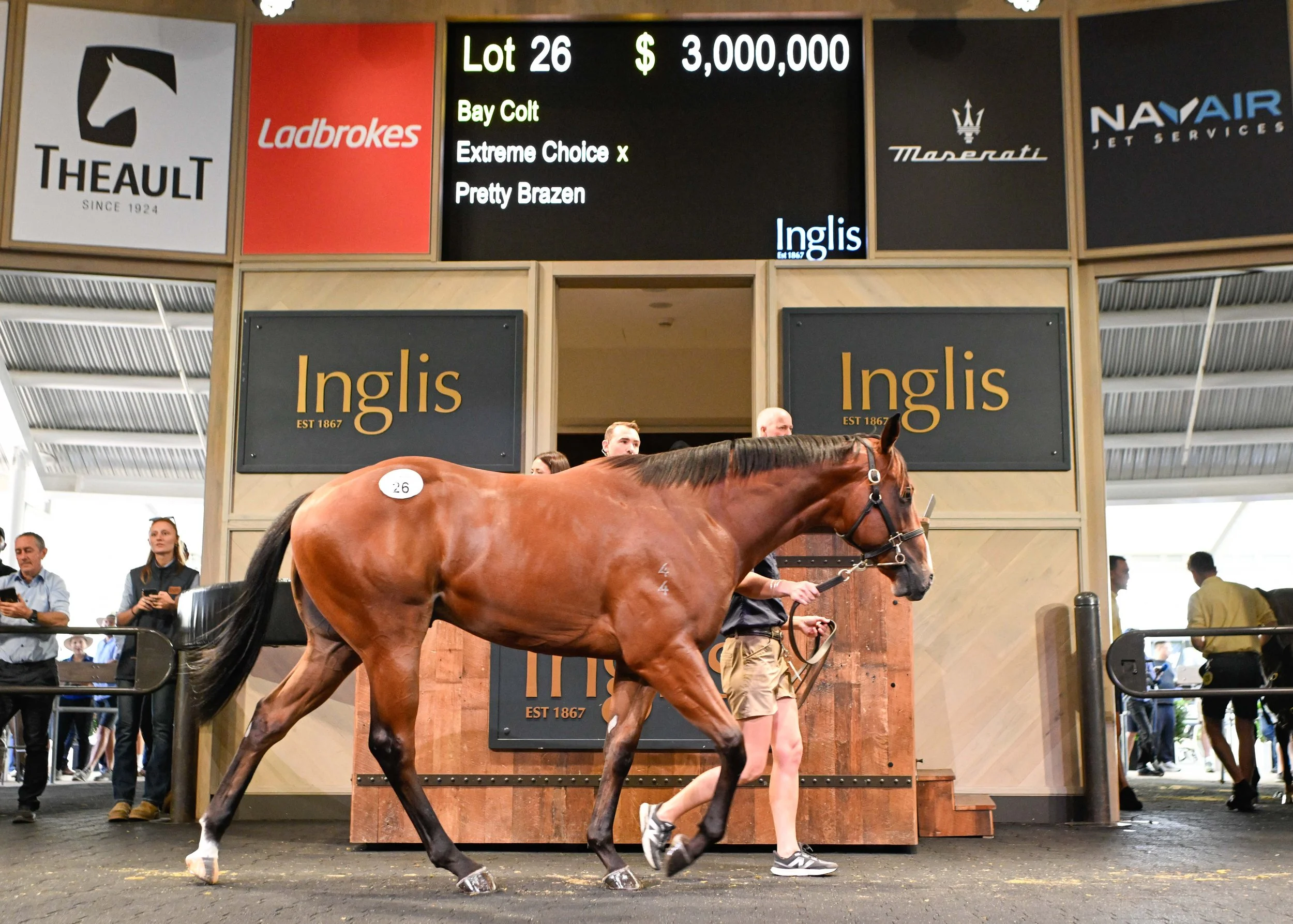 Inglis Easter Yearling Sale Review