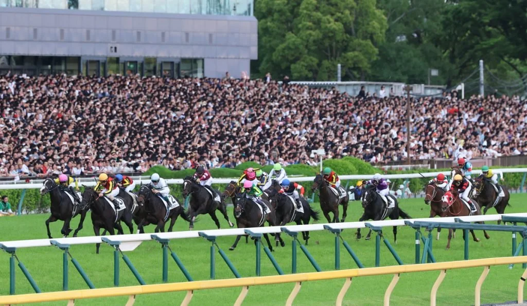 Japanese Derby: Everything you need to know