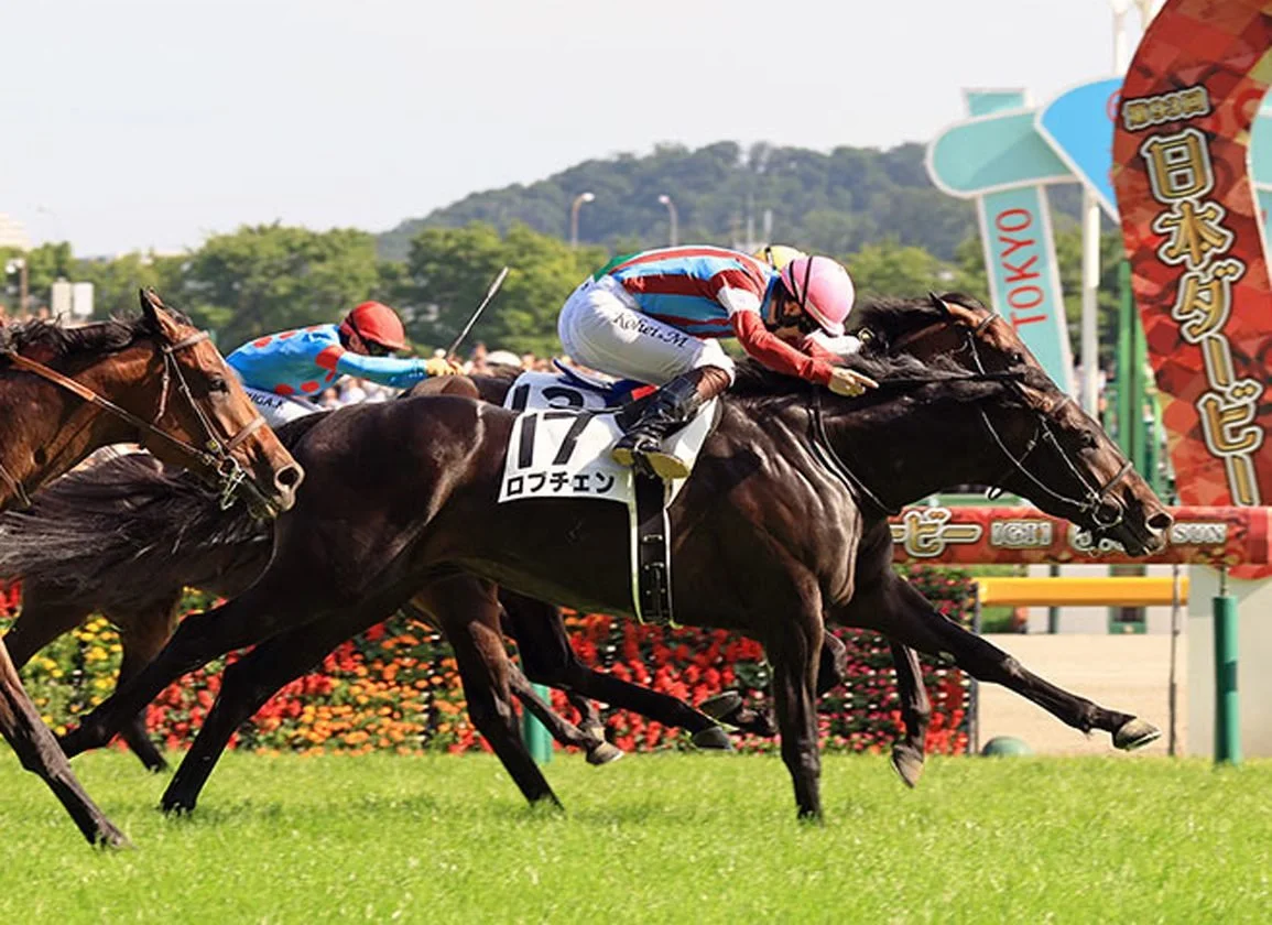 Lovcen keeps his Triple Crown dream alive