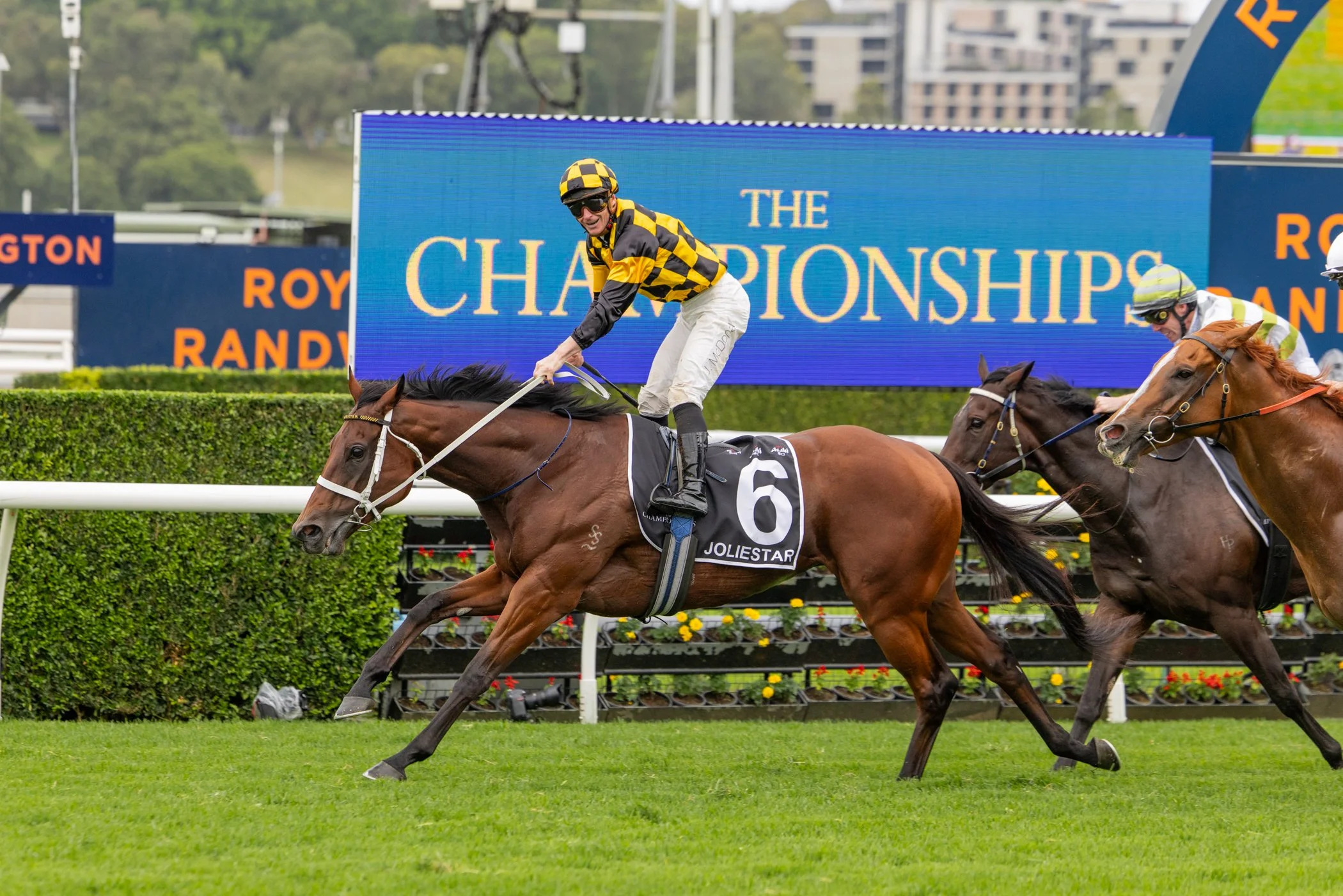 Royal Ascot Day 5 Preview