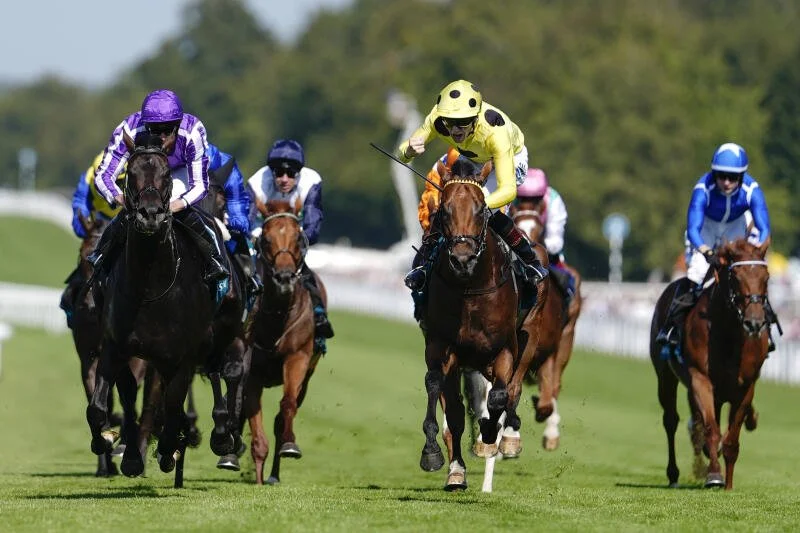 Bow Echo cemented as Europe’s Best Miler after Sussex Stakes victory