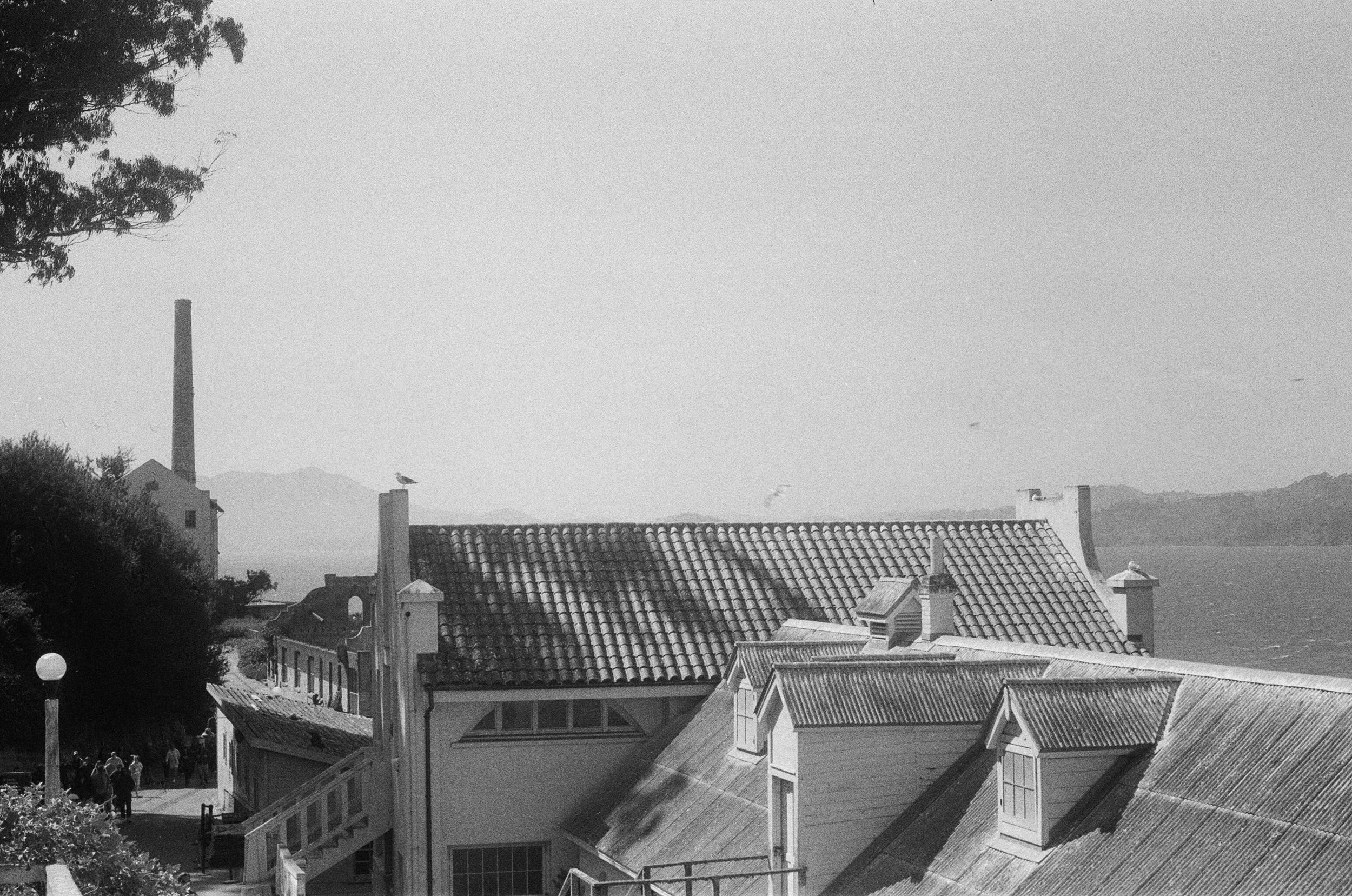 53240016.JPG