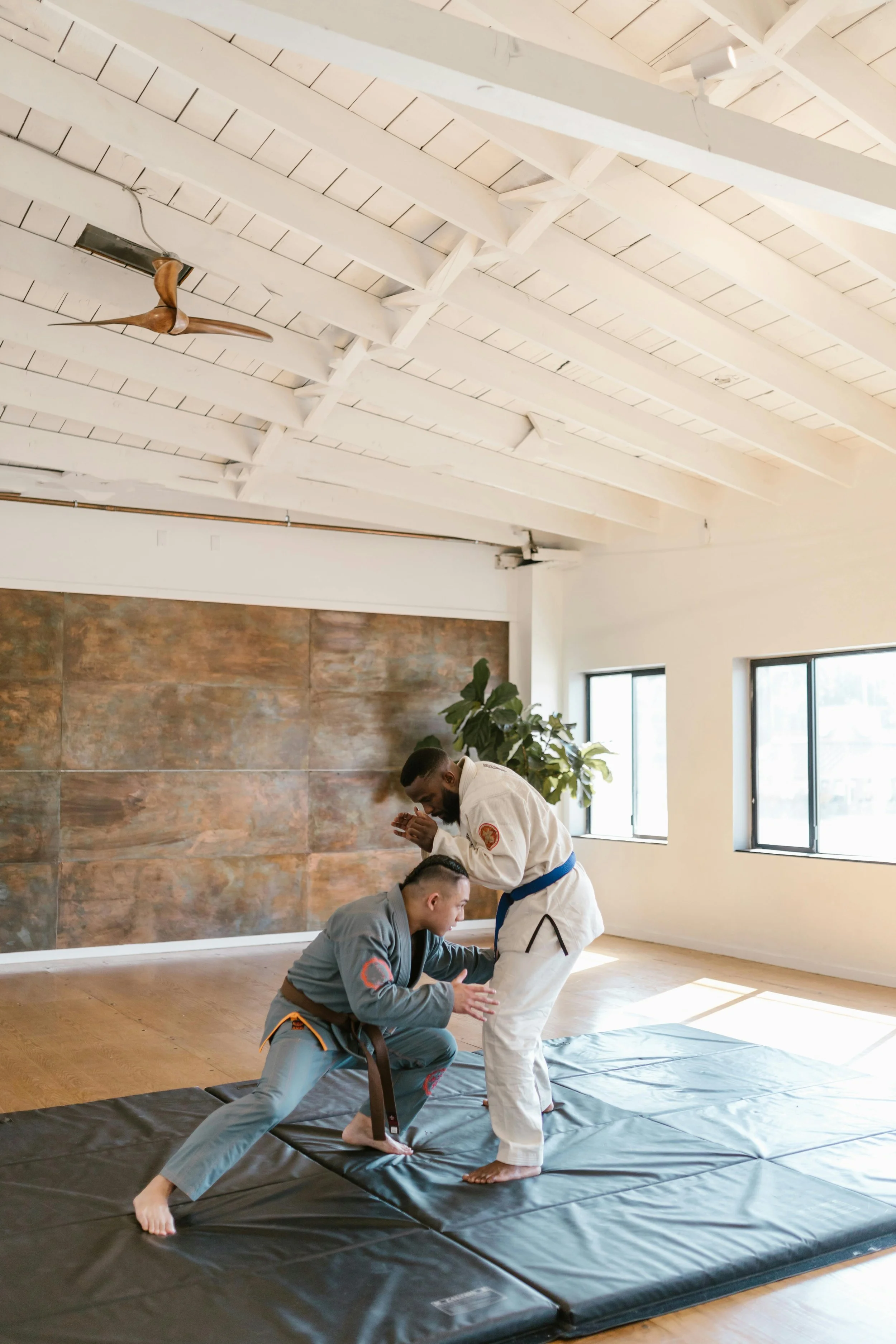 Two martial artists practicing Brazilian Jiu-Jitsu on black mats in a bright room with large windows and exposed wooden beams. One is kneeling and the other standing, both wearing gis.
