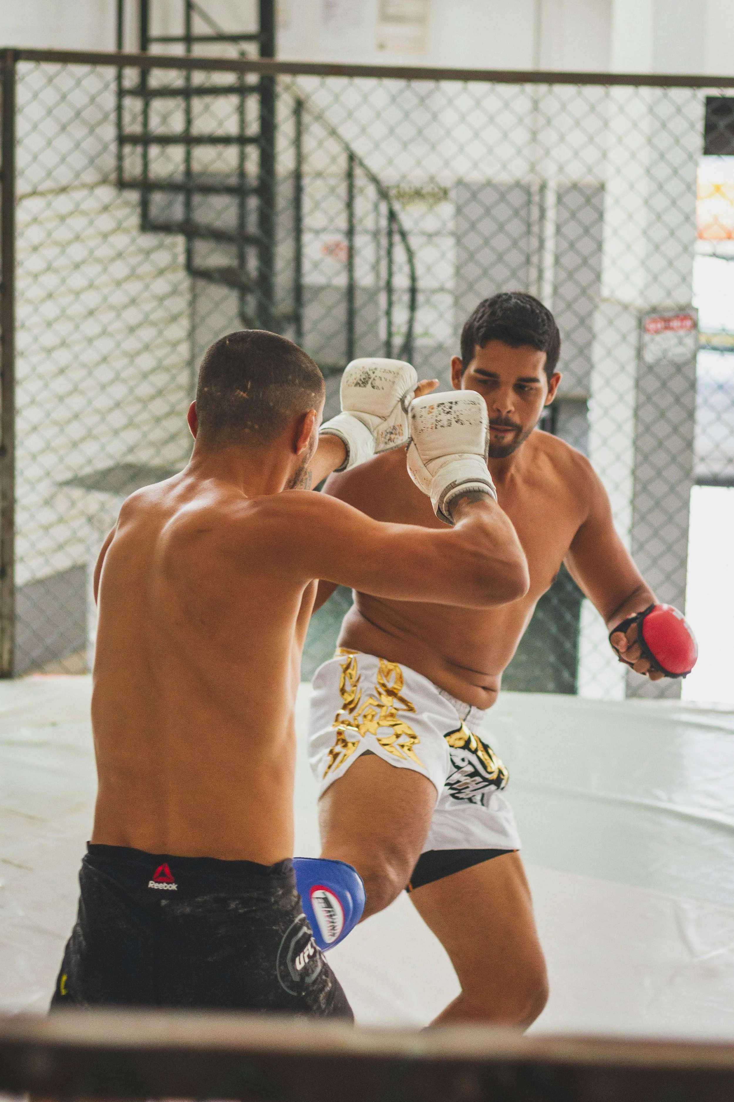 Two men sparring in a mixed martial arts training ring, one delivering a kick and the other blocking with gloves. The ring is enclosed with chain-link fencing.