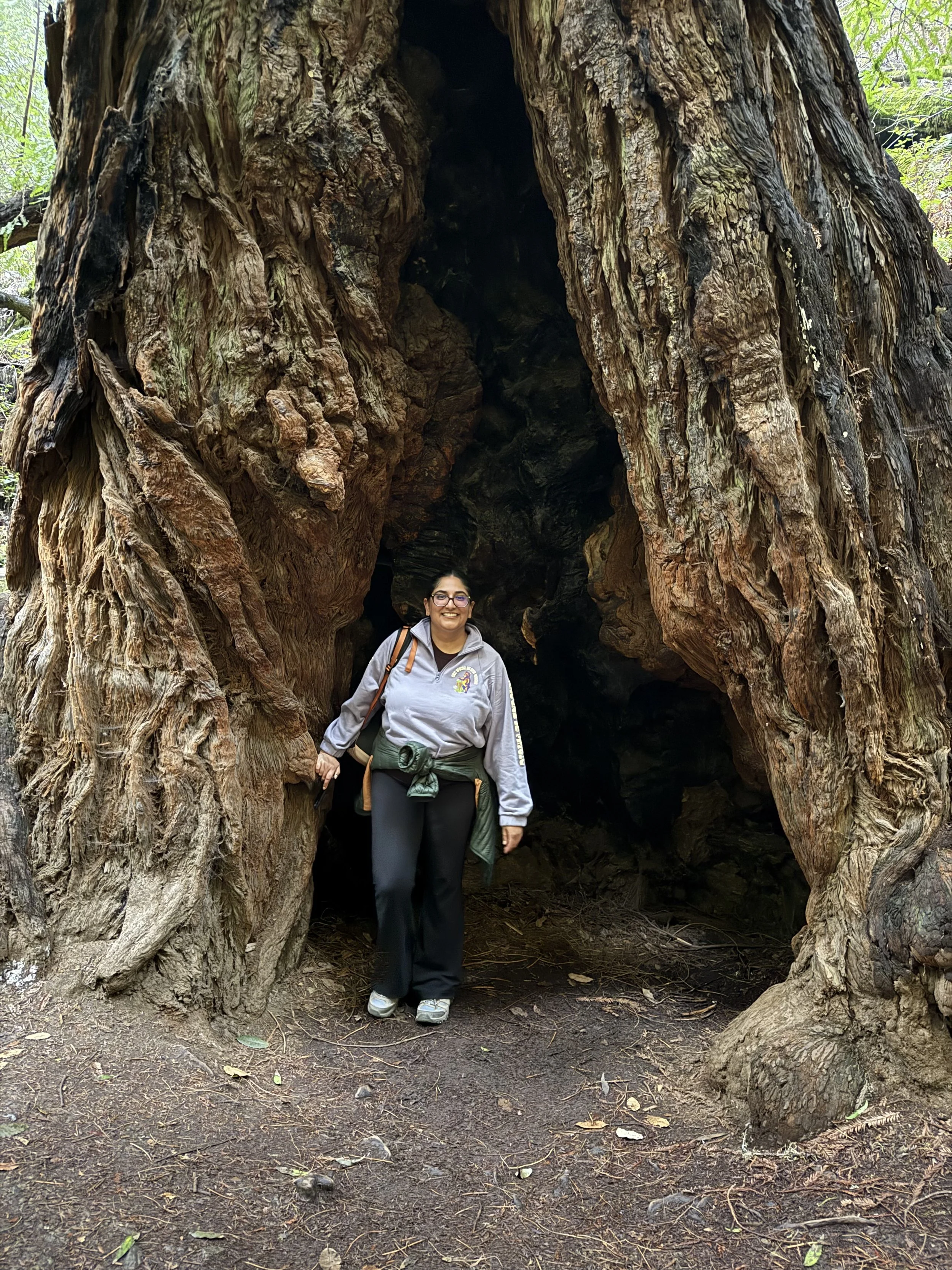 Dr. Dhami standing inside a large hollow tree trunk in a forest. The tree has thick, textured bark and a wide opening at its base. Dr. Dhami is smiling, wearing glasses, a periwinkle sweatshirt, black pants, and sneakers, and carrying a backpack.