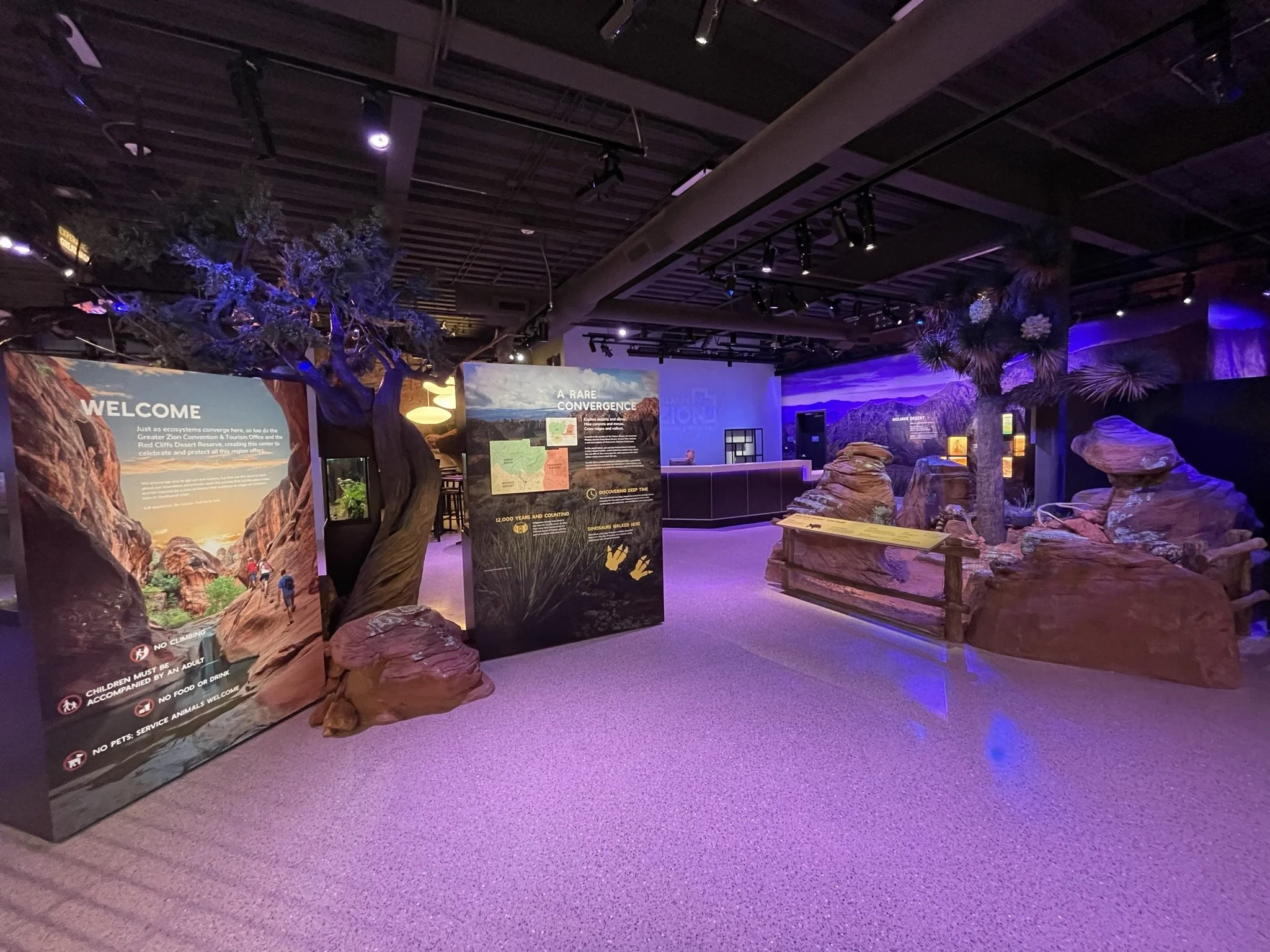 Entry into the Exhibit - Nighttime Programming