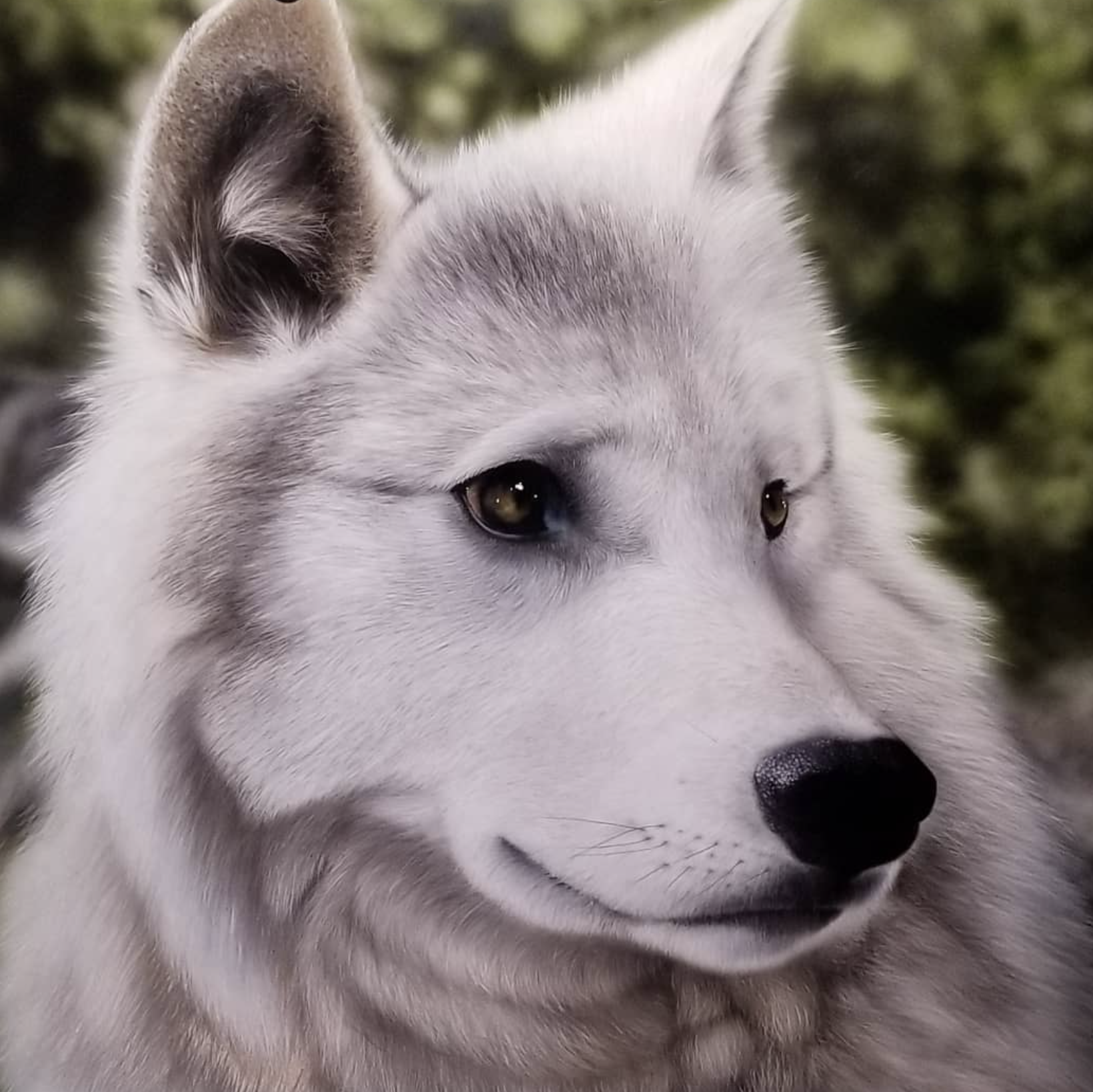 Screenshot 2026-04-03 at 1.13.33 AM.png