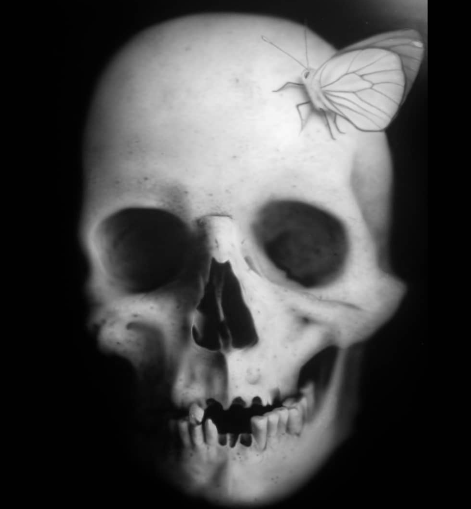 Screenshot 2026-04-03 at 1.13.16 AM.png