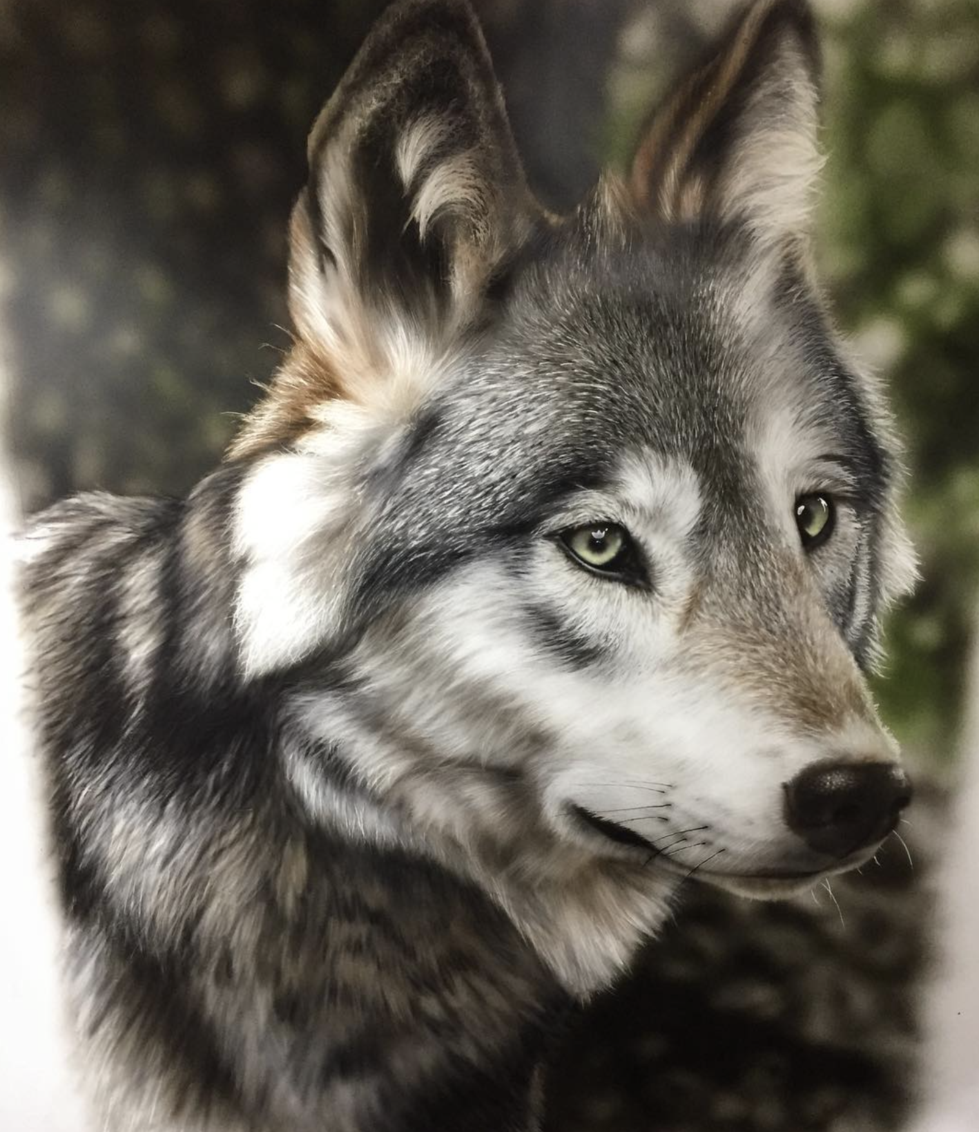 Screenshot 2026-04-03 at 1.14.59 AM.png