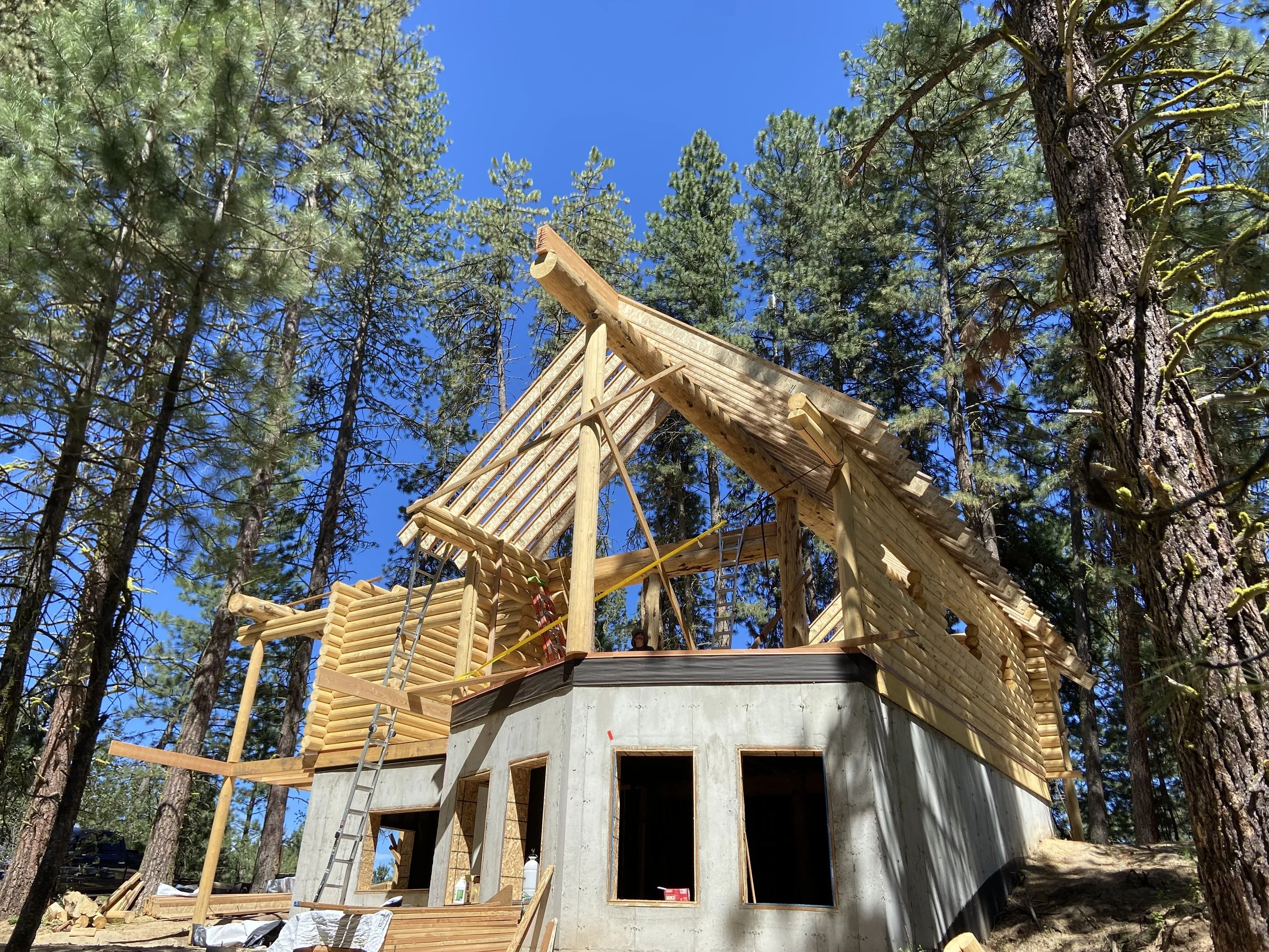 A house under construction in a wooded area, with a wooden framework being built around a concrete base, surrounded by tall pine trees and a clear blue sky.
