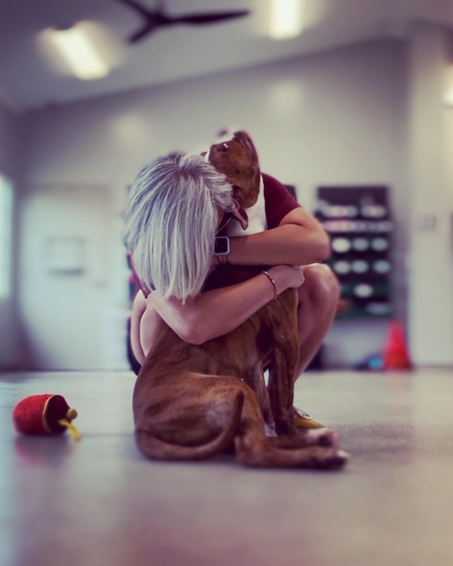 Behavior Decision Certification