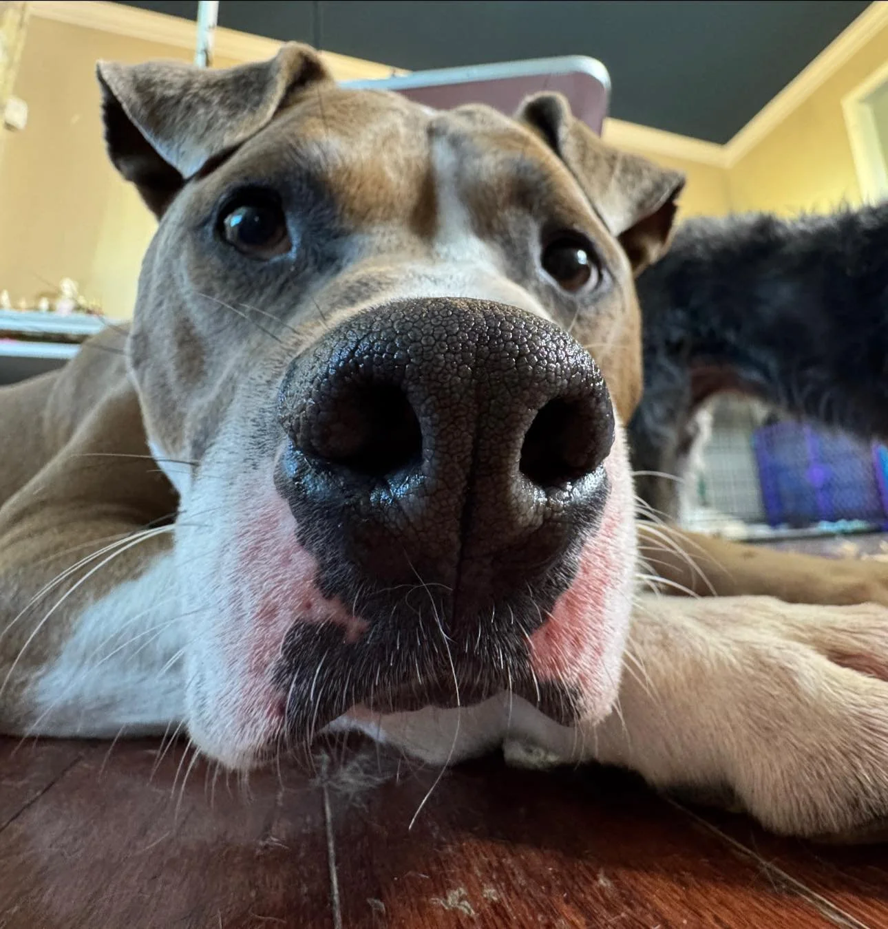 2-Day Behavior Workshop