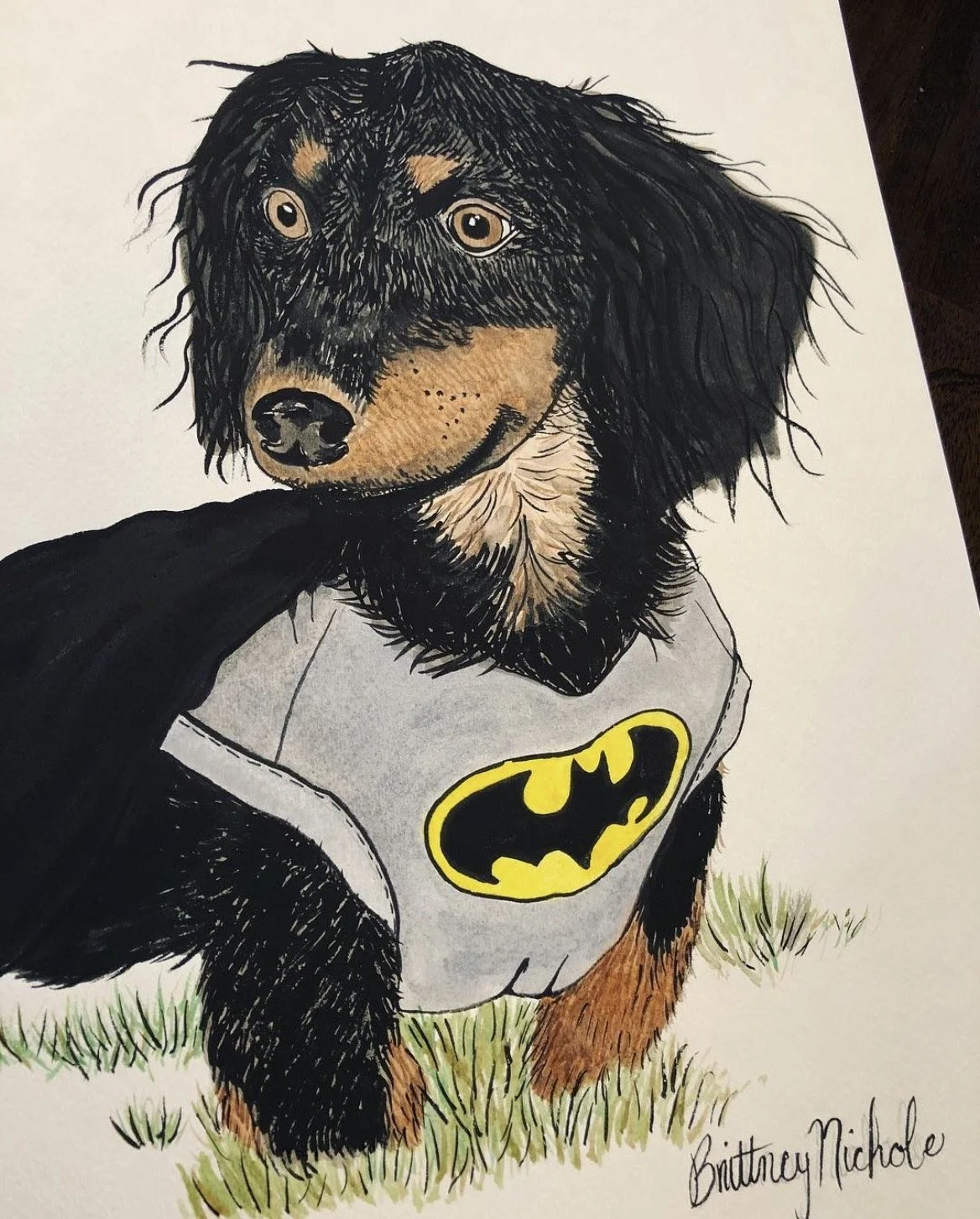 Watercolor Pet Special