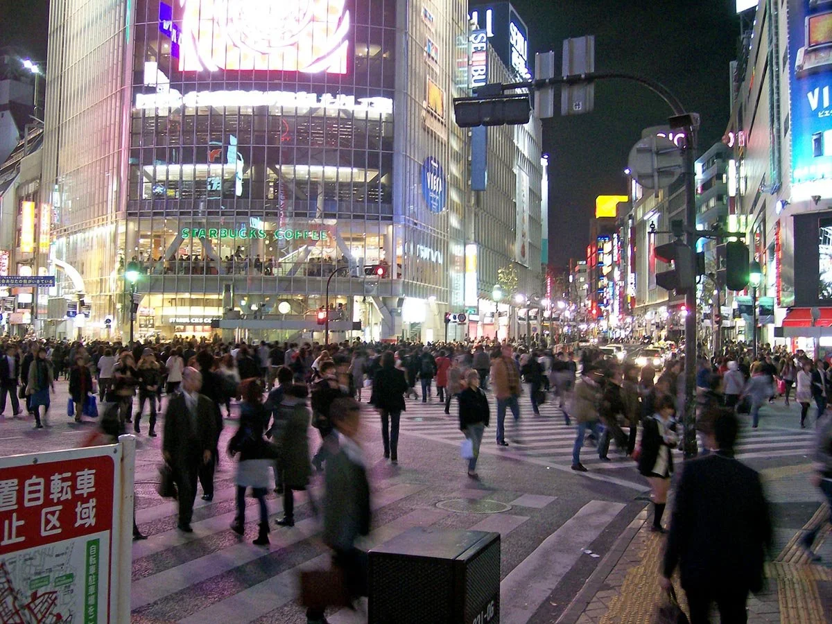 kite-tokyonight2.jpg