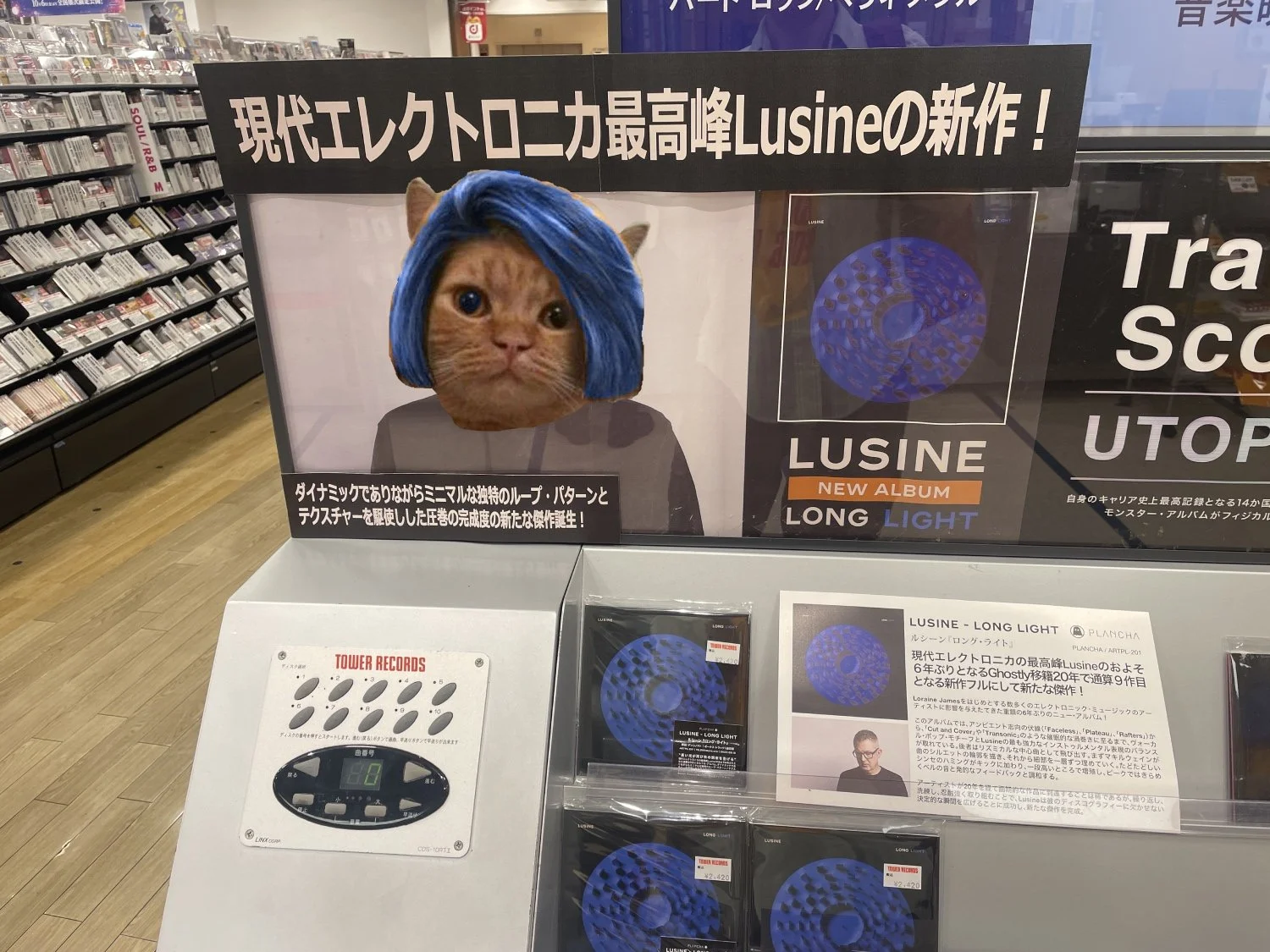 LusineCatDisplay2.jpg