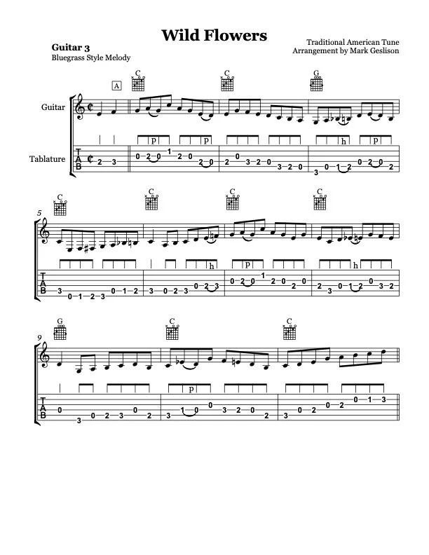 Wild Flowers Guitar 3.jpg