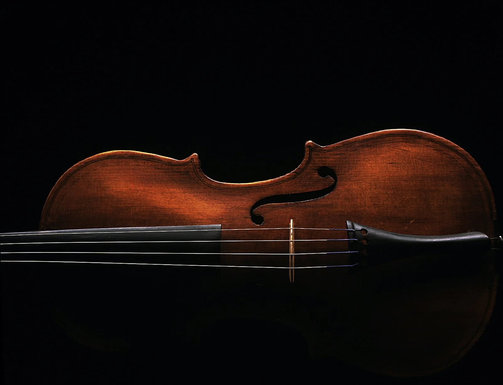 Close-up of a wooden violin against a black background, showing the body, strings, and fingerboard.