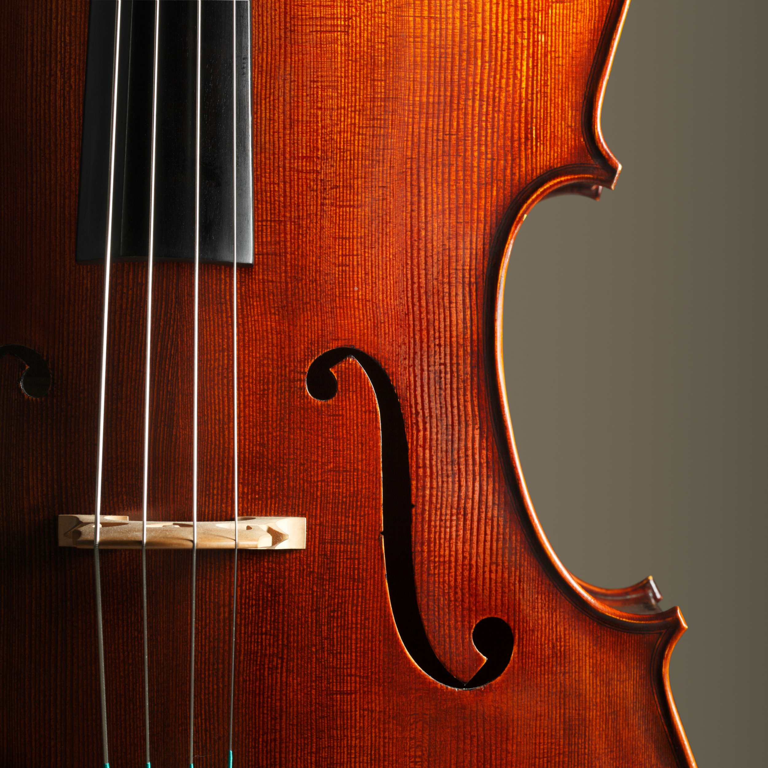 Violín