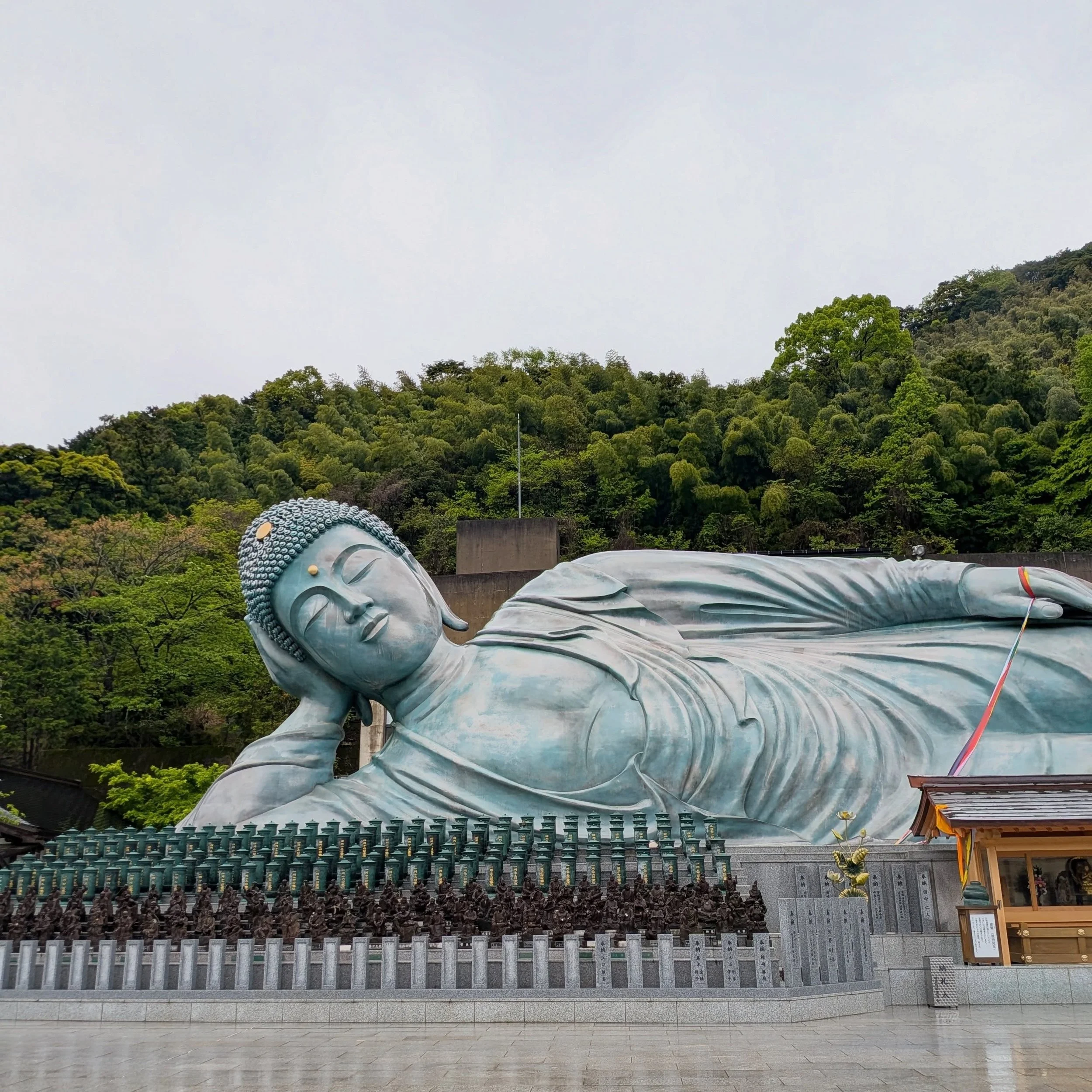 Nothing prepares you for the scale of this 41-meter reclining giant. 🏯🙏 #fukuoka #buddha #travelphotography