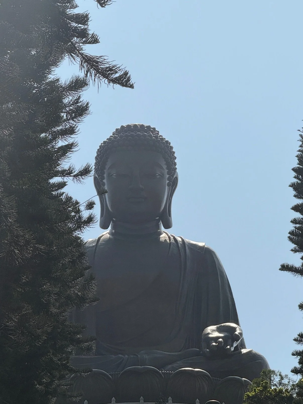 A little farther from the city, a little closer to peace. 🪷 #lantauisland