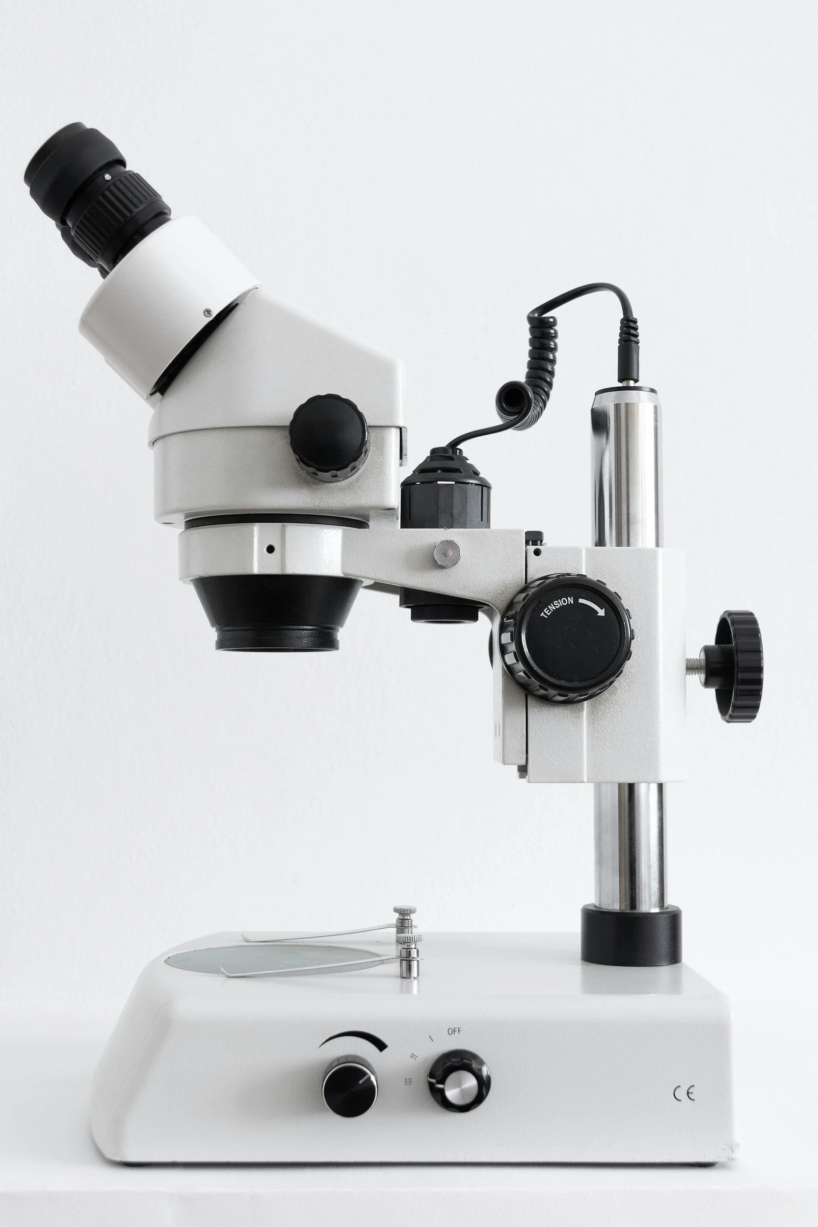 A white stereo microscope with black adjustment knobs on a white background.
