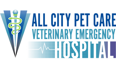 A graphic with a medical symbol and words related to veterinary emergency hospital services, including 'VETERINARY EMERGENCY' and 'HOSPITAL' in bold letters.