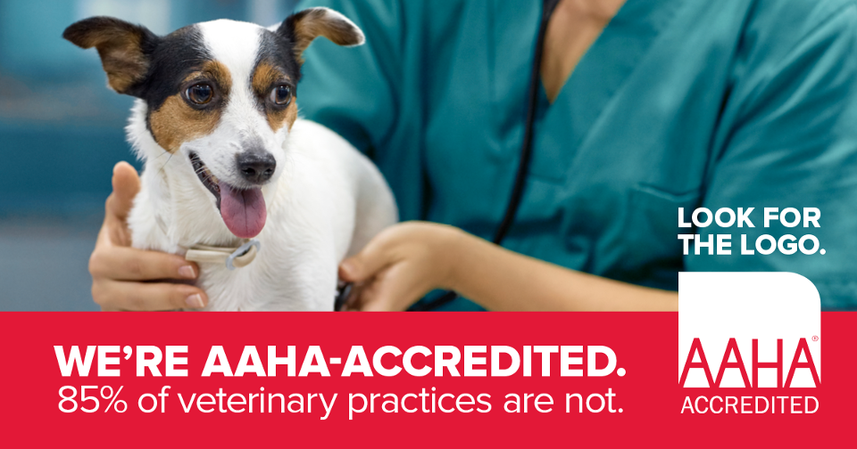 There is a red banner at the bottom with white text stating "WE'RE AAHA-ACCREDITED. 85% of veterinary practices are not." and a logo with the words "AHA ACCREDITED."