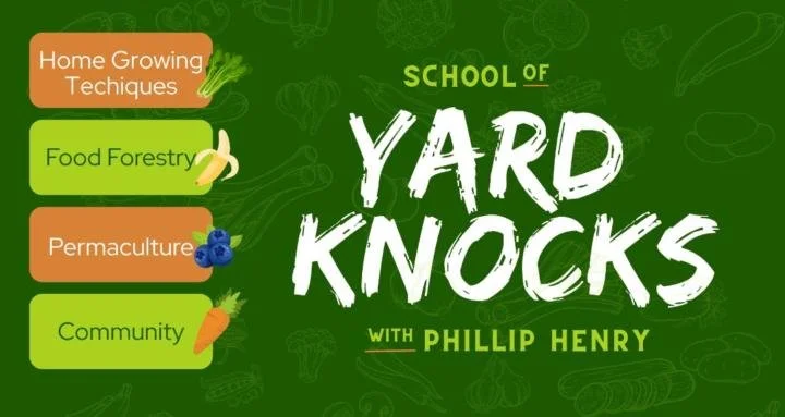 Green background poster advertising the School of Yard Knocks with Phillip Henry, featuring sections on home growing techniques, food forestry, permaculture, and community, with icons of a leafy greens, banana, blueberries, and a carrot.